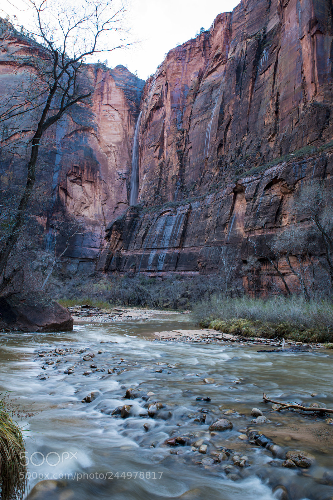 Nikon D800 sample photo. Zionwaterfall photography