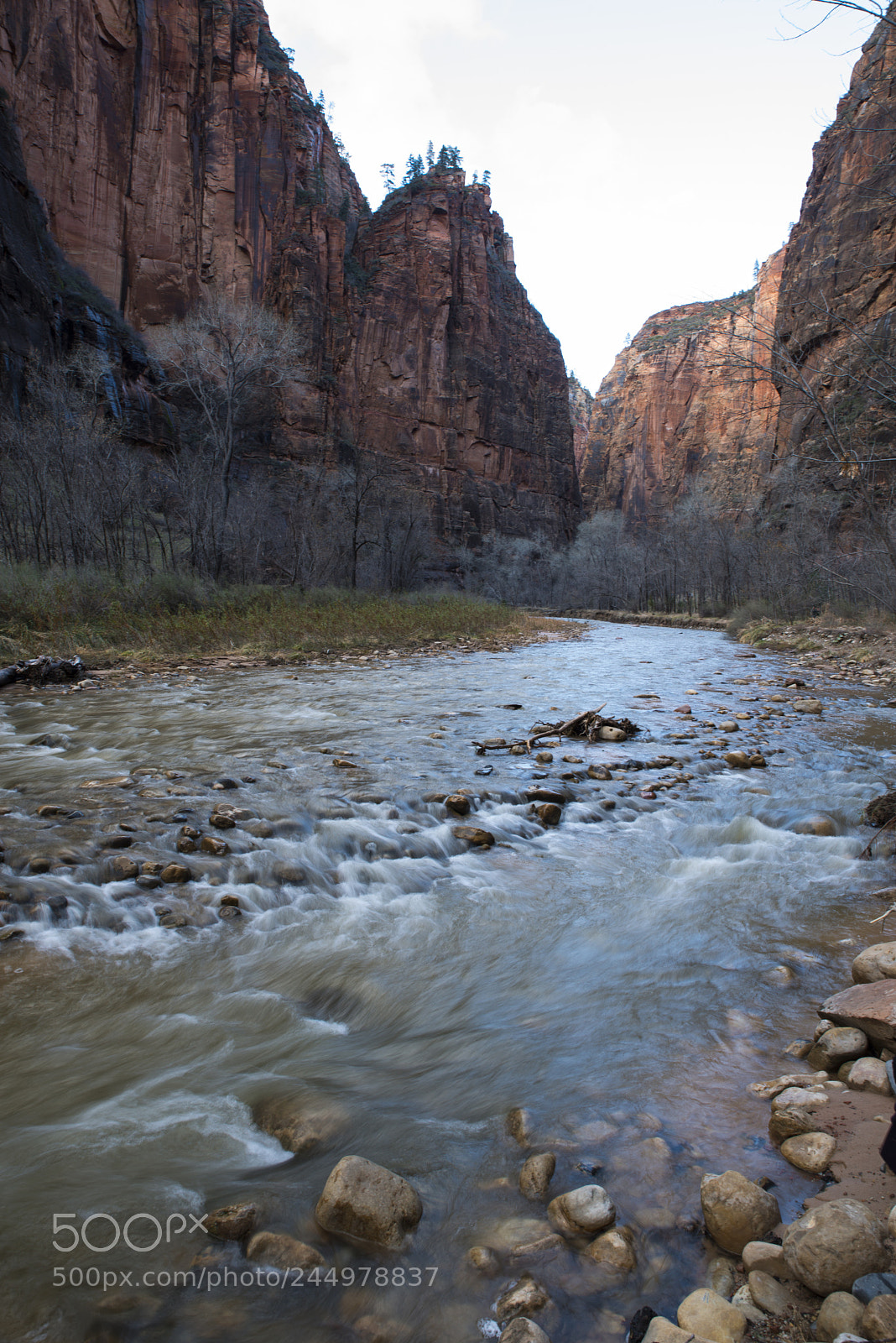 Nikon D800 sample photo. Zionwaterfall photography