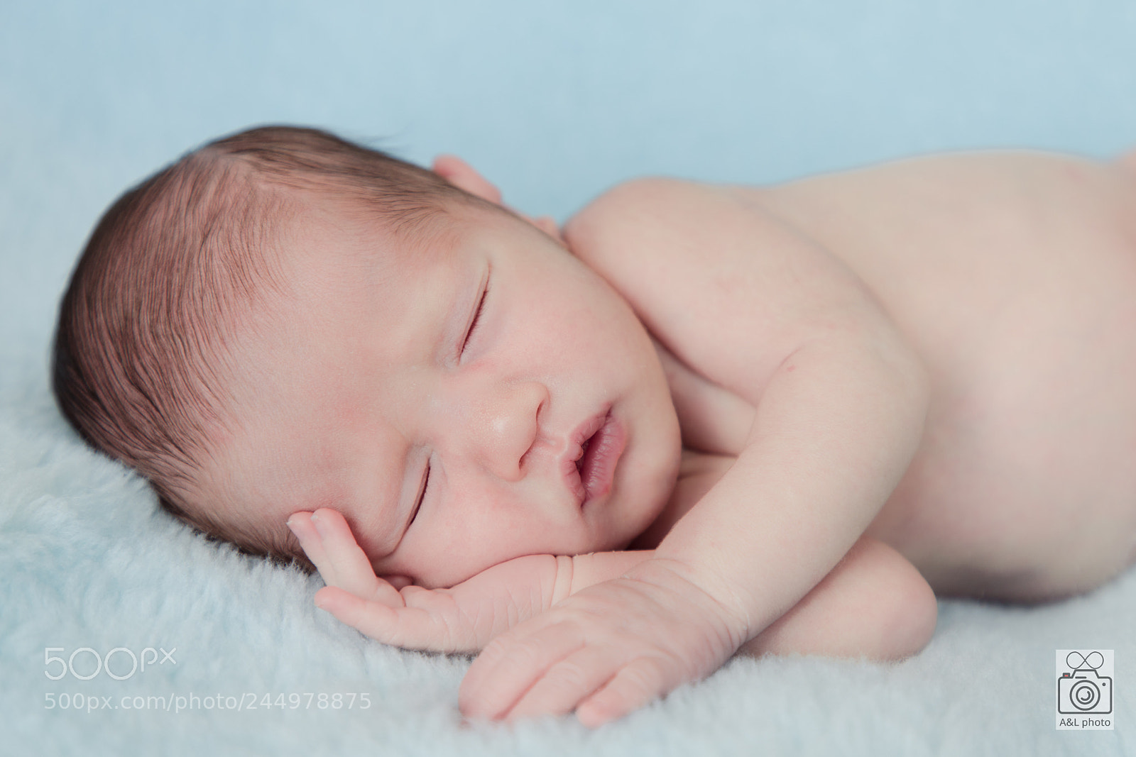 Canon EOS 6D Mark II sample photo. A&l photography