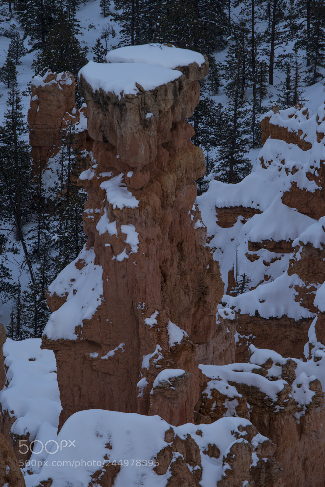Nikon D800 sample photo. Bryce photography
