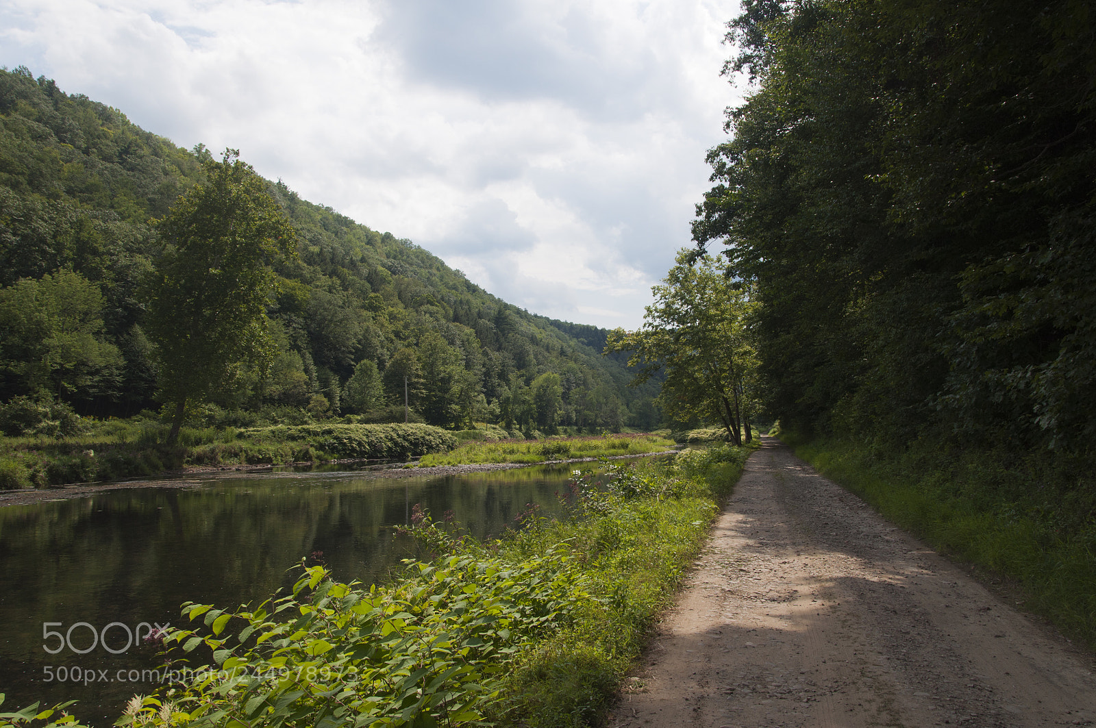 Nikon D5000 sample photo. Pine creek gorge photography