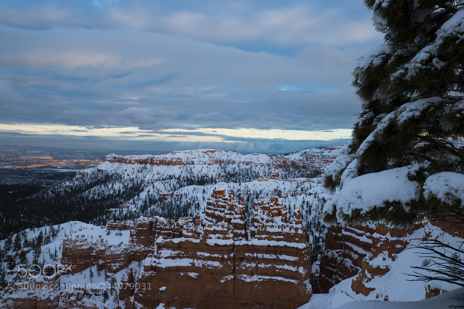 Nikon D800 sample photo. Bryce5.jpg photography