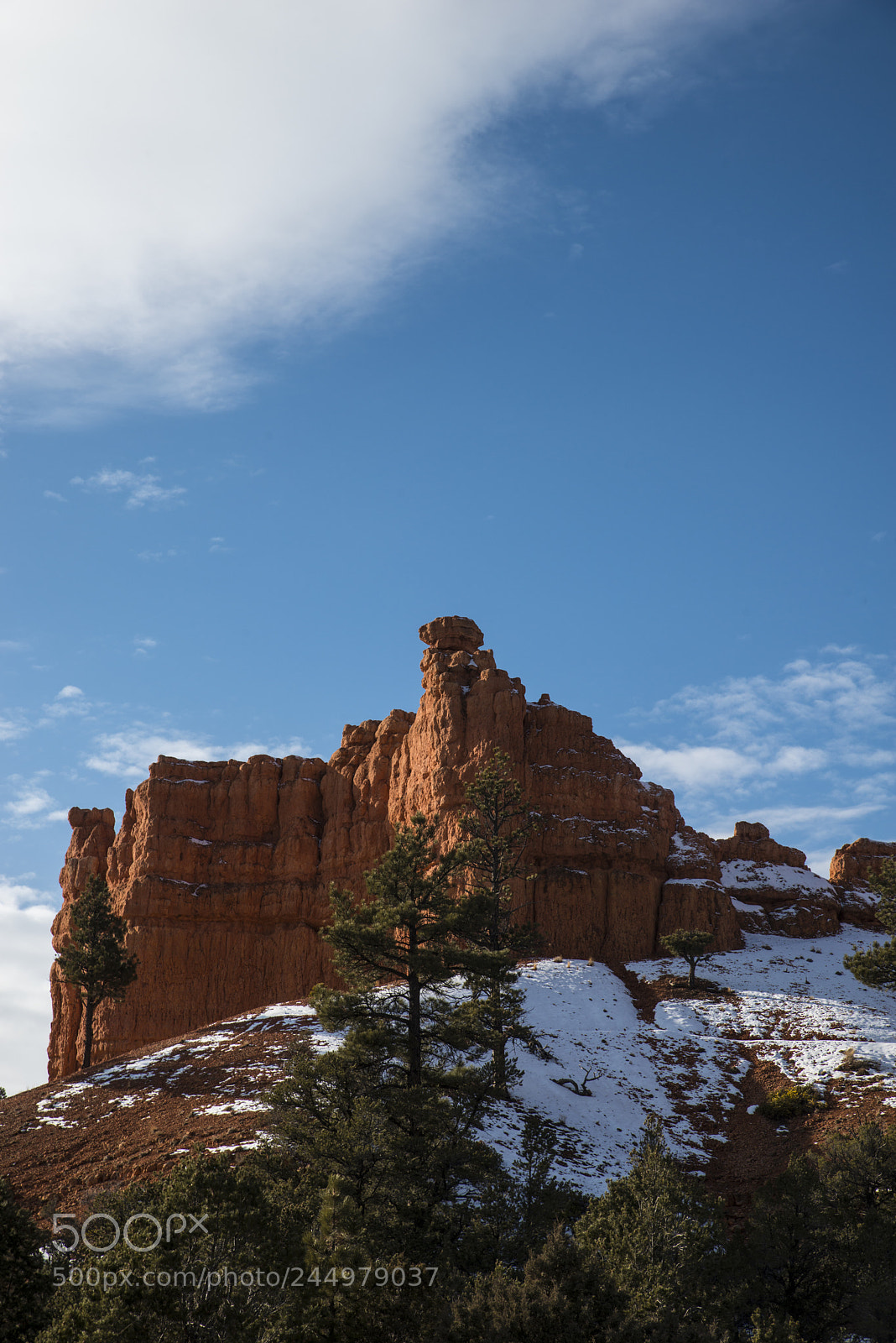Nikon D800 sample photo. Bryce6.jpg photography