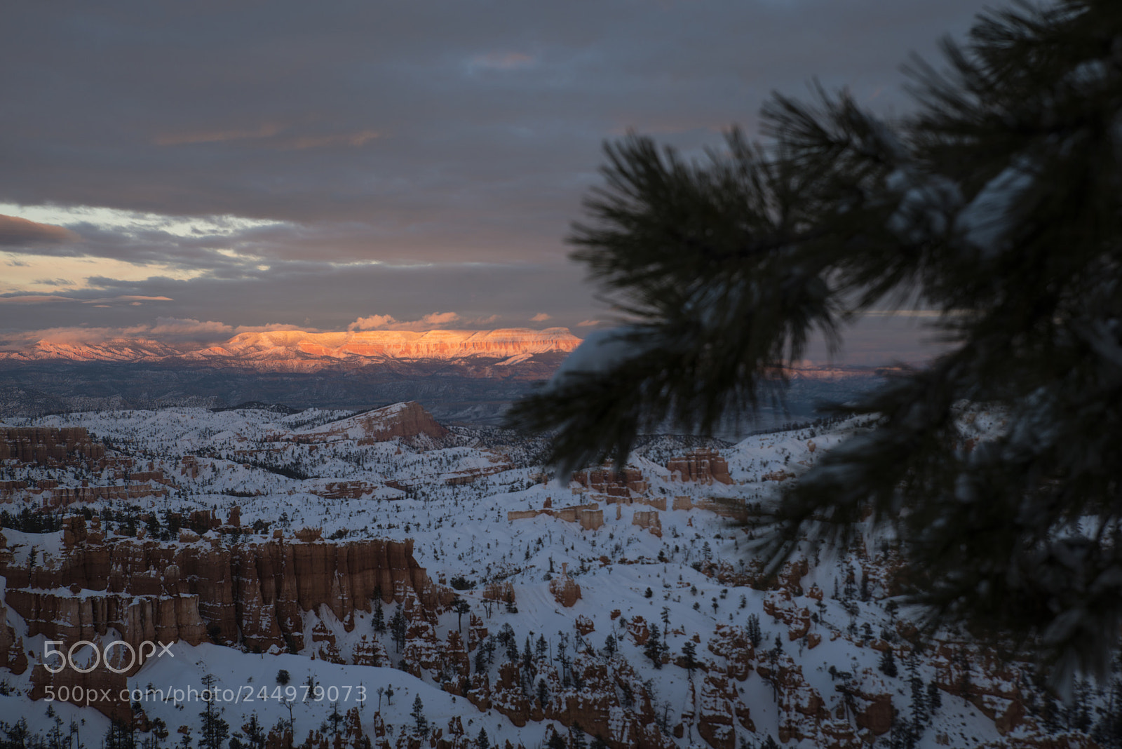 Nikon D800 sample photo. Bryce8.jpg photography