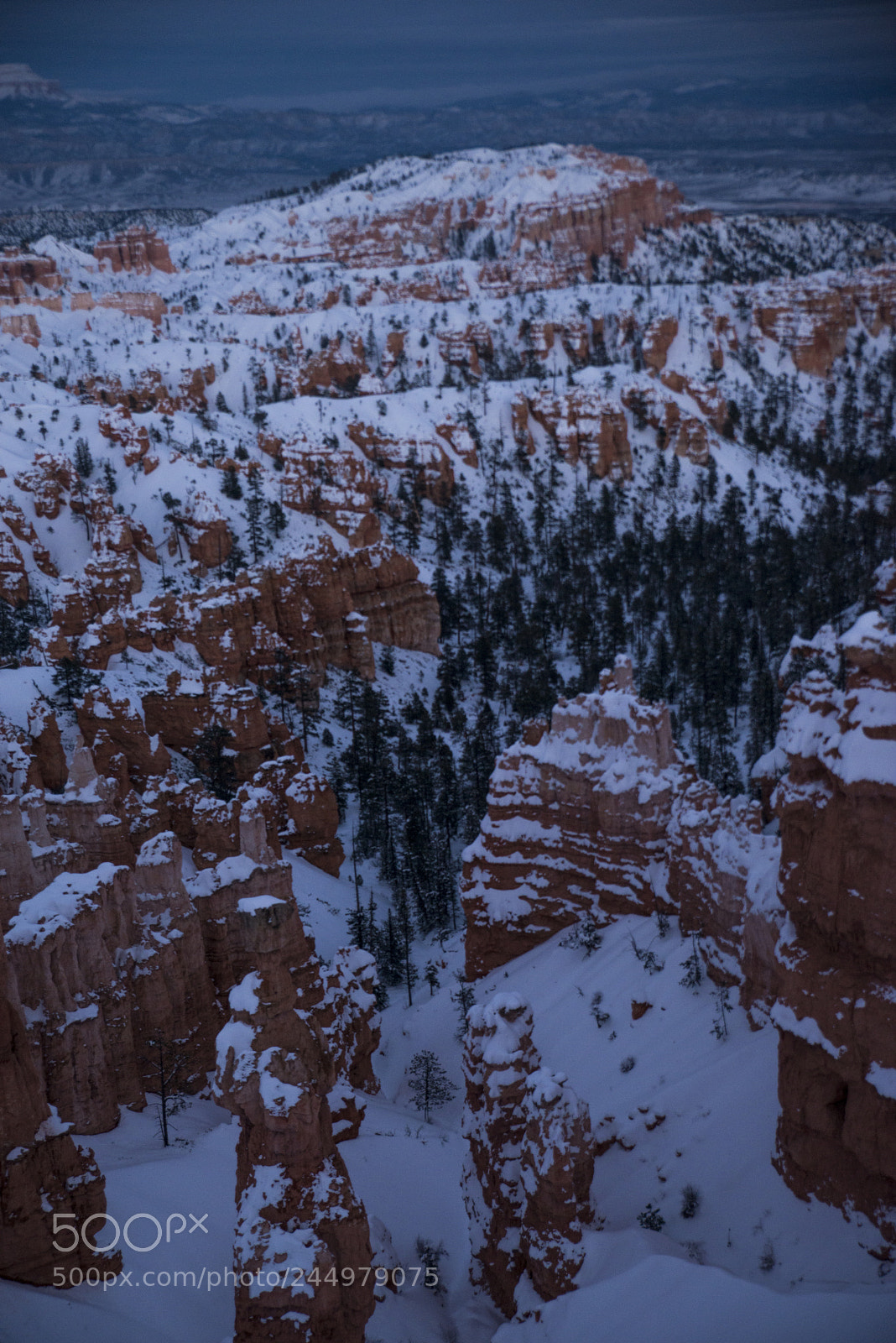 Nikon D800 sample photo. Bryce7.jpg photography