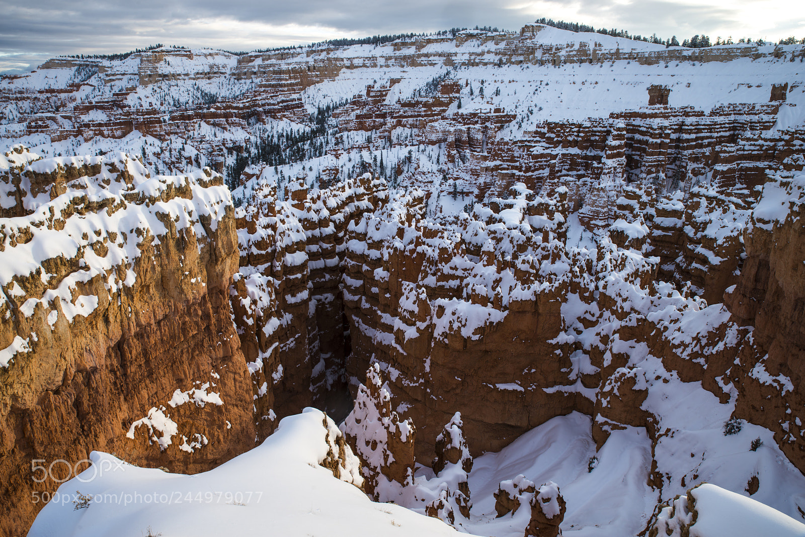 Nikon D800 sample photo. Bryce11.jpg photography