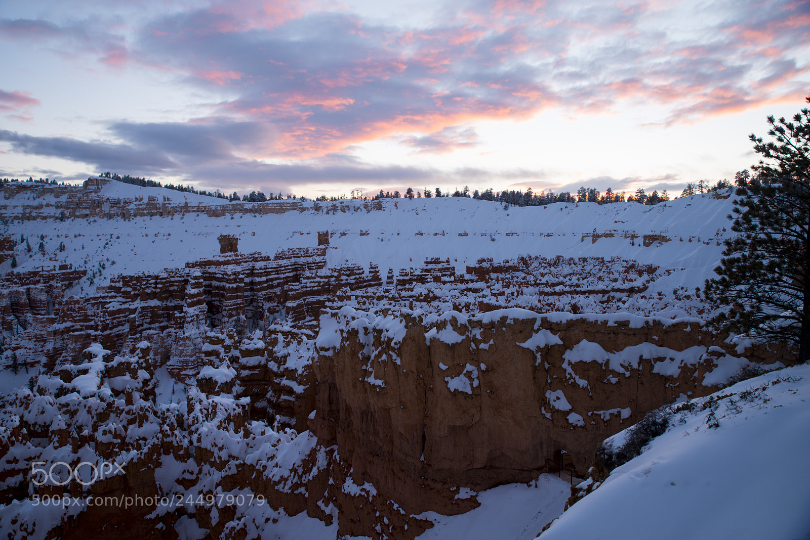 Nikon D800 sample photo. Bryce9.jpg photography