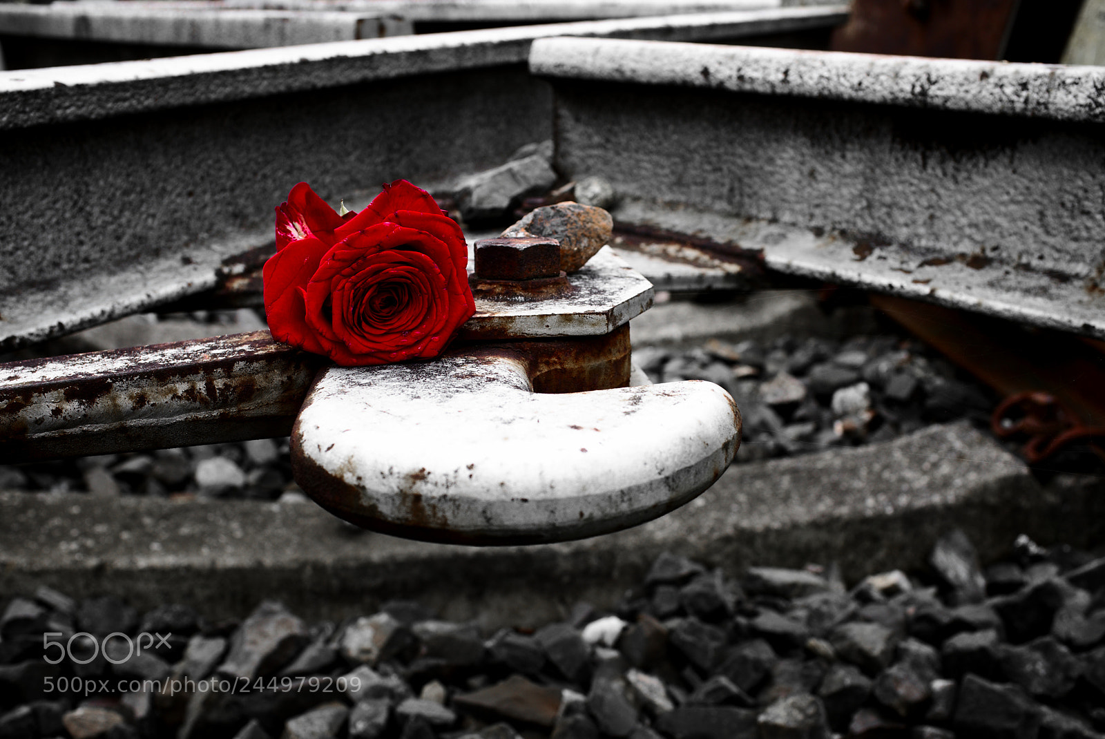 Fujifilm X100F sample photo. Rosehook photography