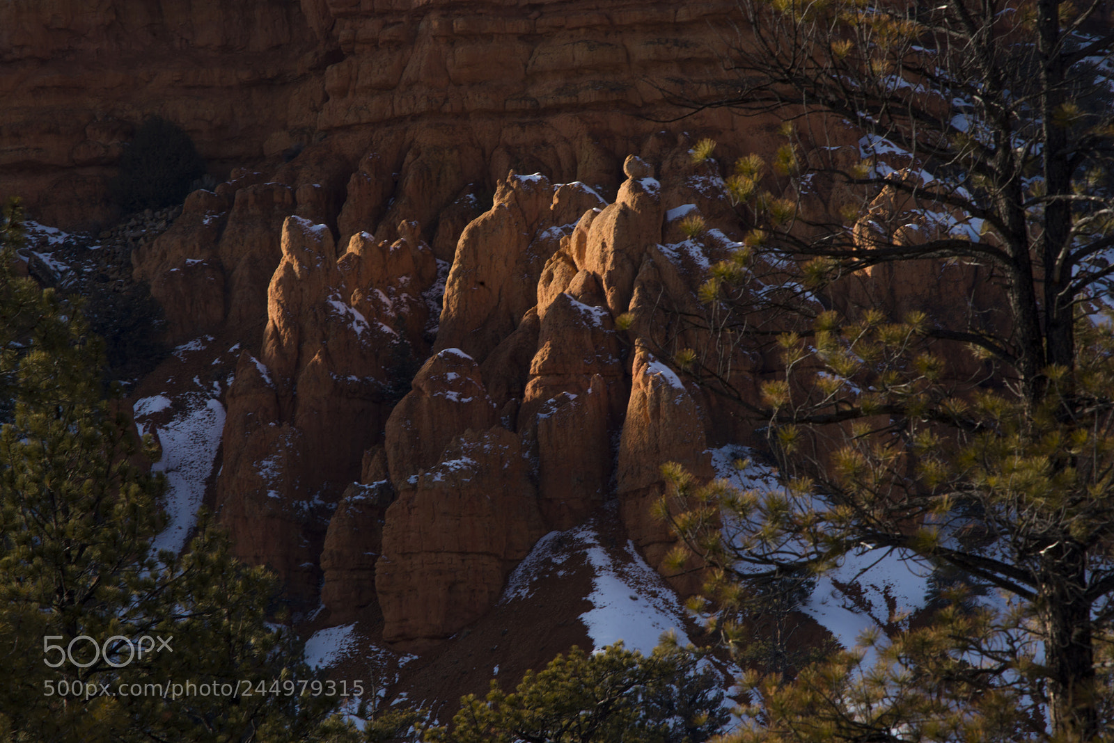 Nikon D800 sample photo. Bryce12.jpg photography
