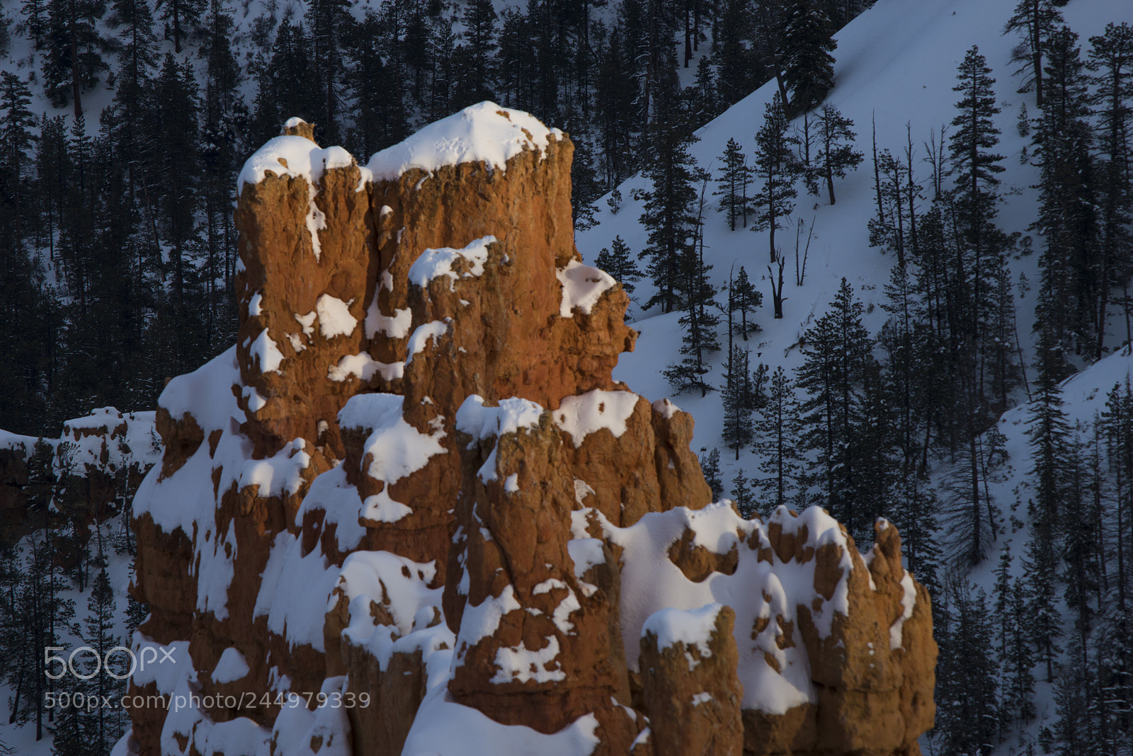 Nikon D800 sample photo. Bryce13.jpg photography