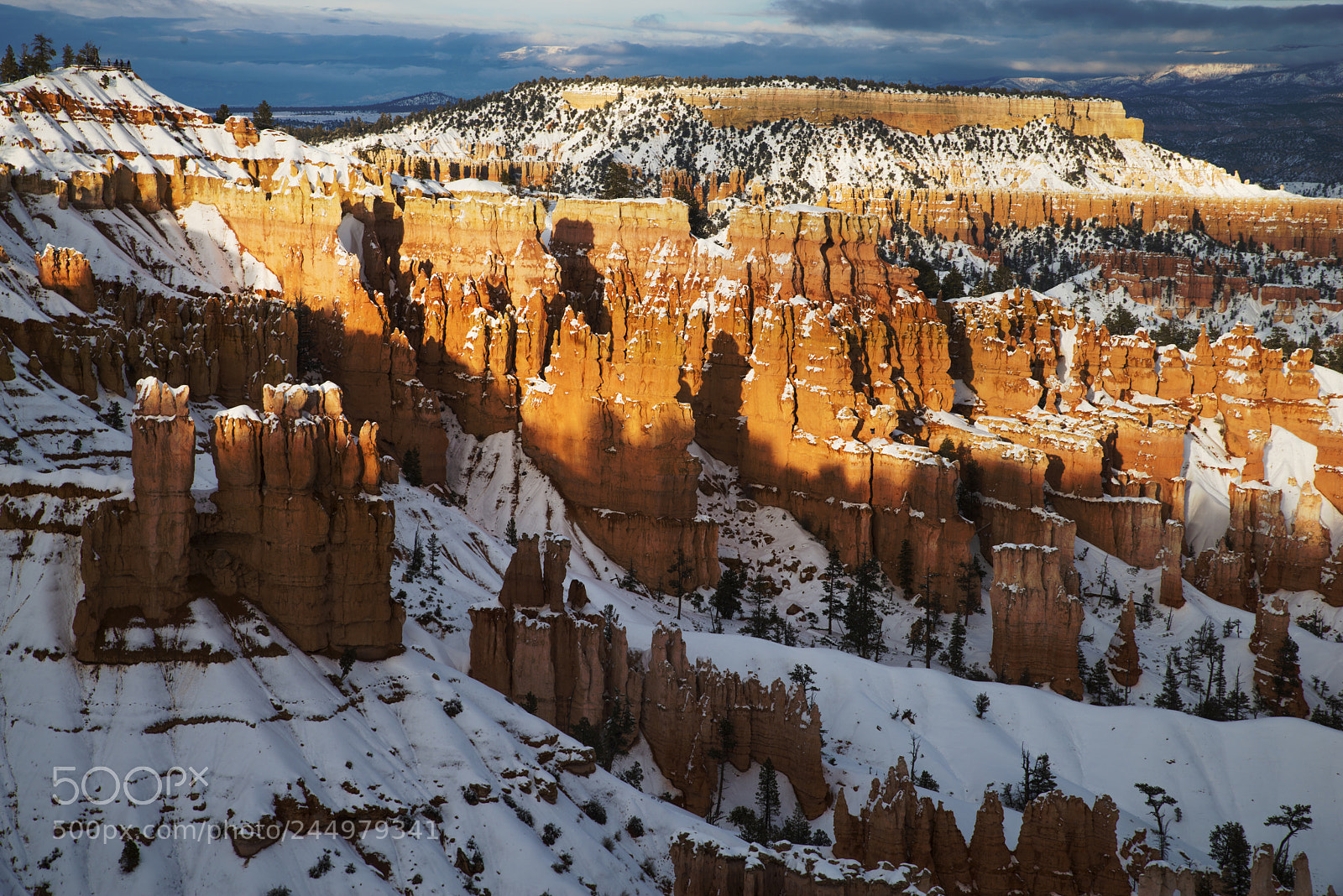Nikon D800 sample photo. Bryce14.jpg photography