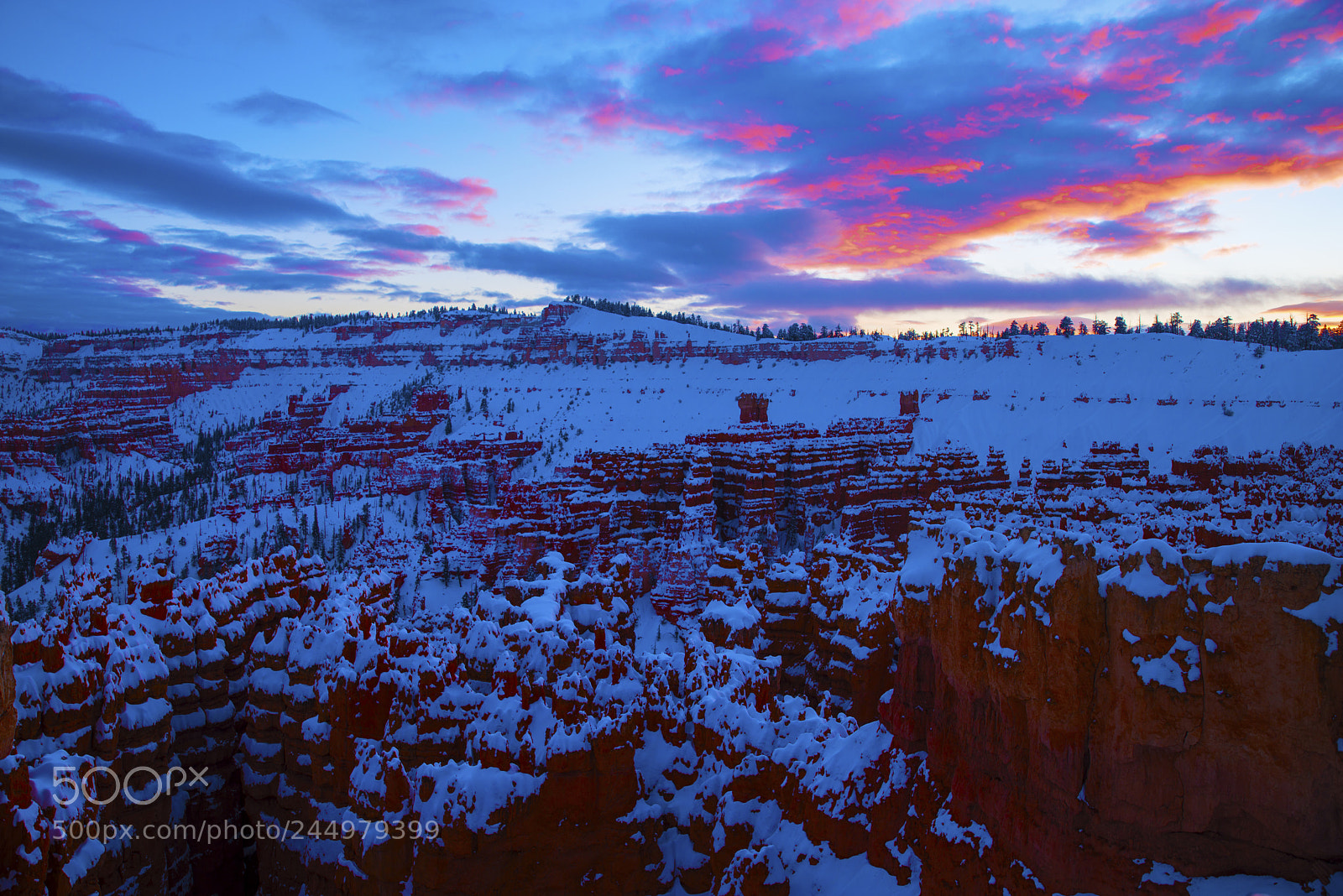 Nikon D800 sample photo. Bryce16.jpg photography