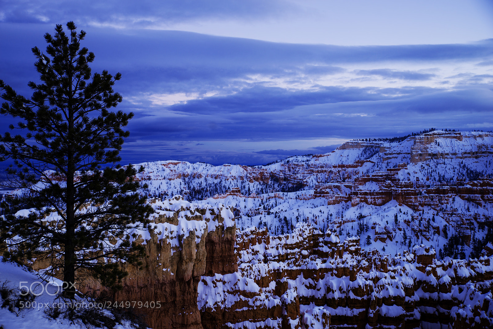 Nikon D800 sample photo. Bryce17.jpg photography