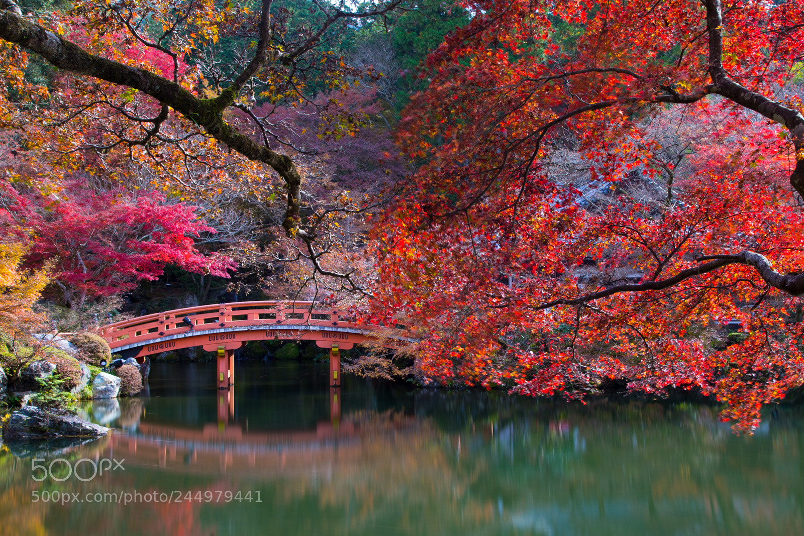 Canon EOS 6D sample photo. Autumn in kyoto photography
