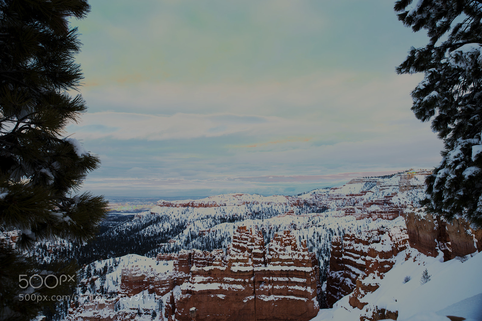 Nikon D800 sample photo. Bryce19.jpg photography