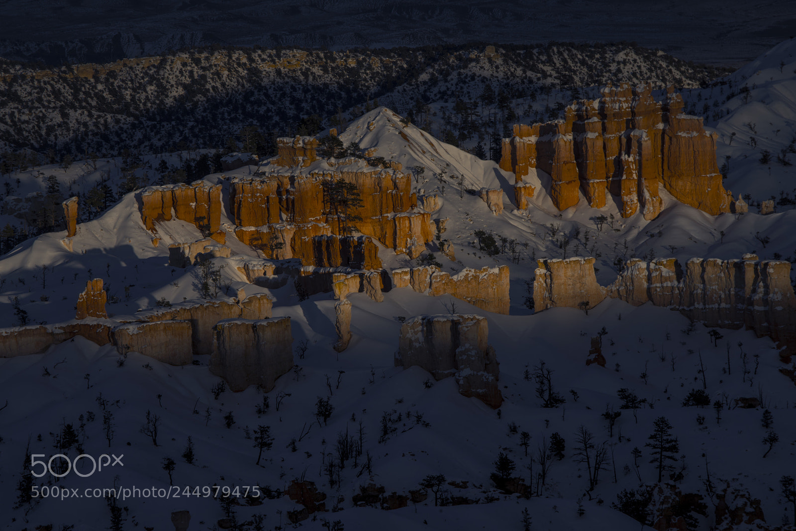 Nikon D800 sample photo. Bryce18.jpg photography