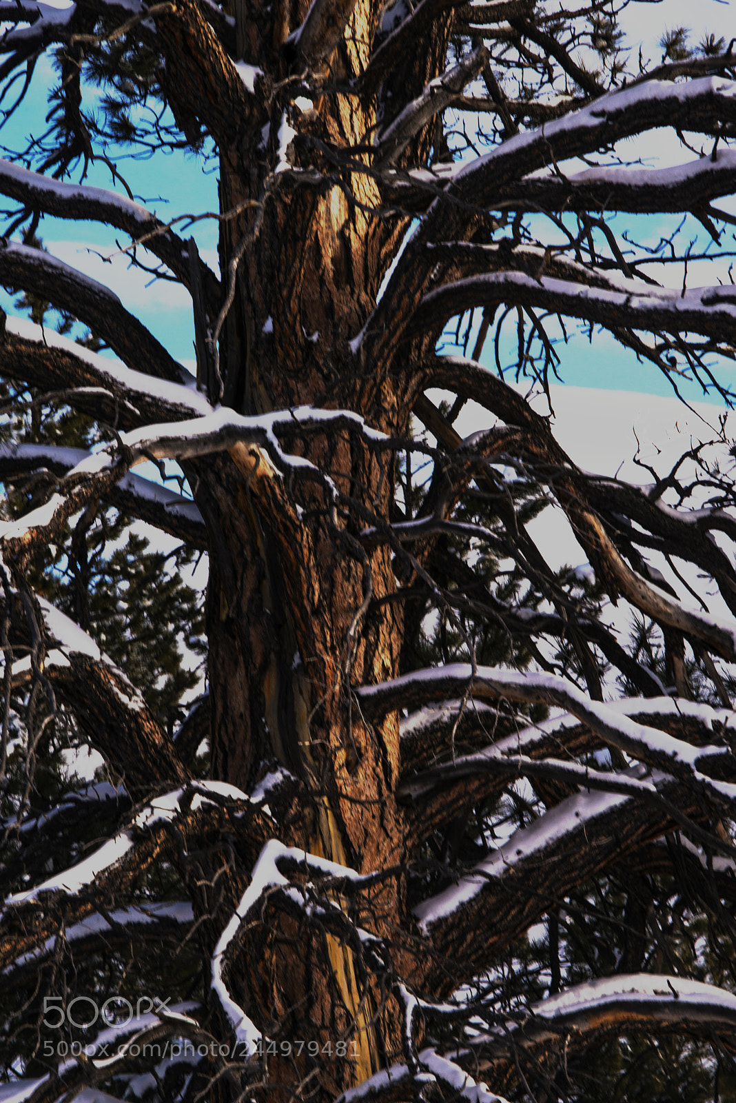 Nikon D800 sample photo. Bryce20.jpg photography