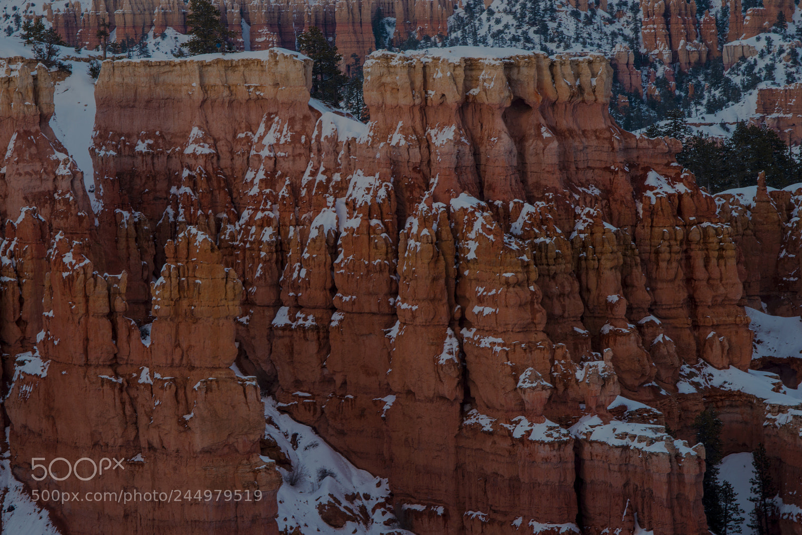 Nikon D800 sample photo. Bryce21.jpg photography