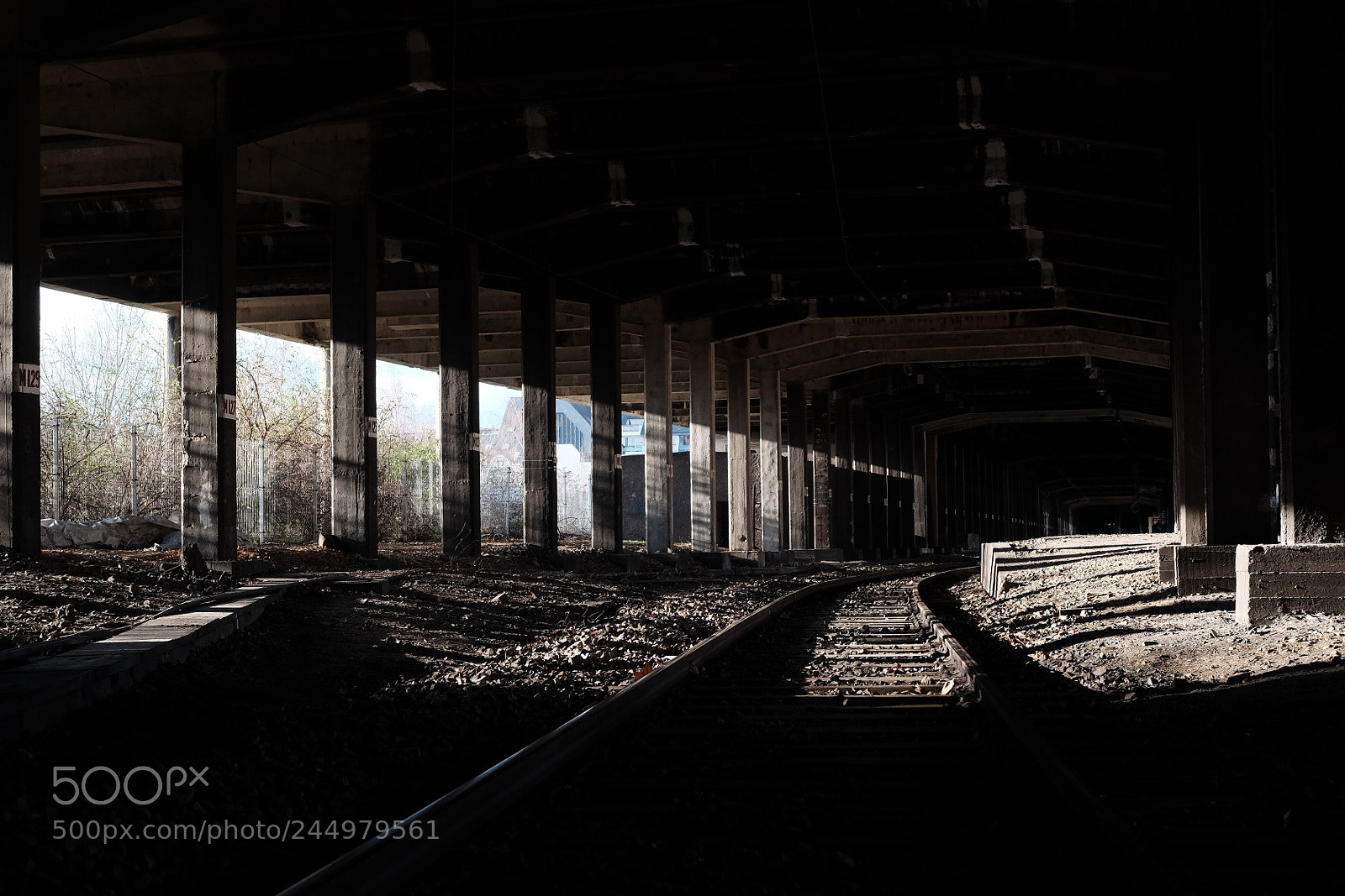 Fujifilm X-T1 sample photo. Untitled photography