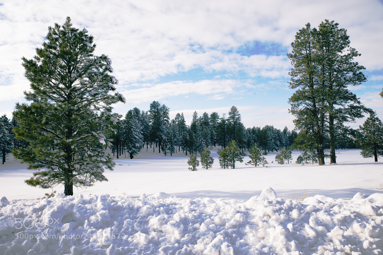 Nikon D800 sample photo. Bryce23.jpg photography
