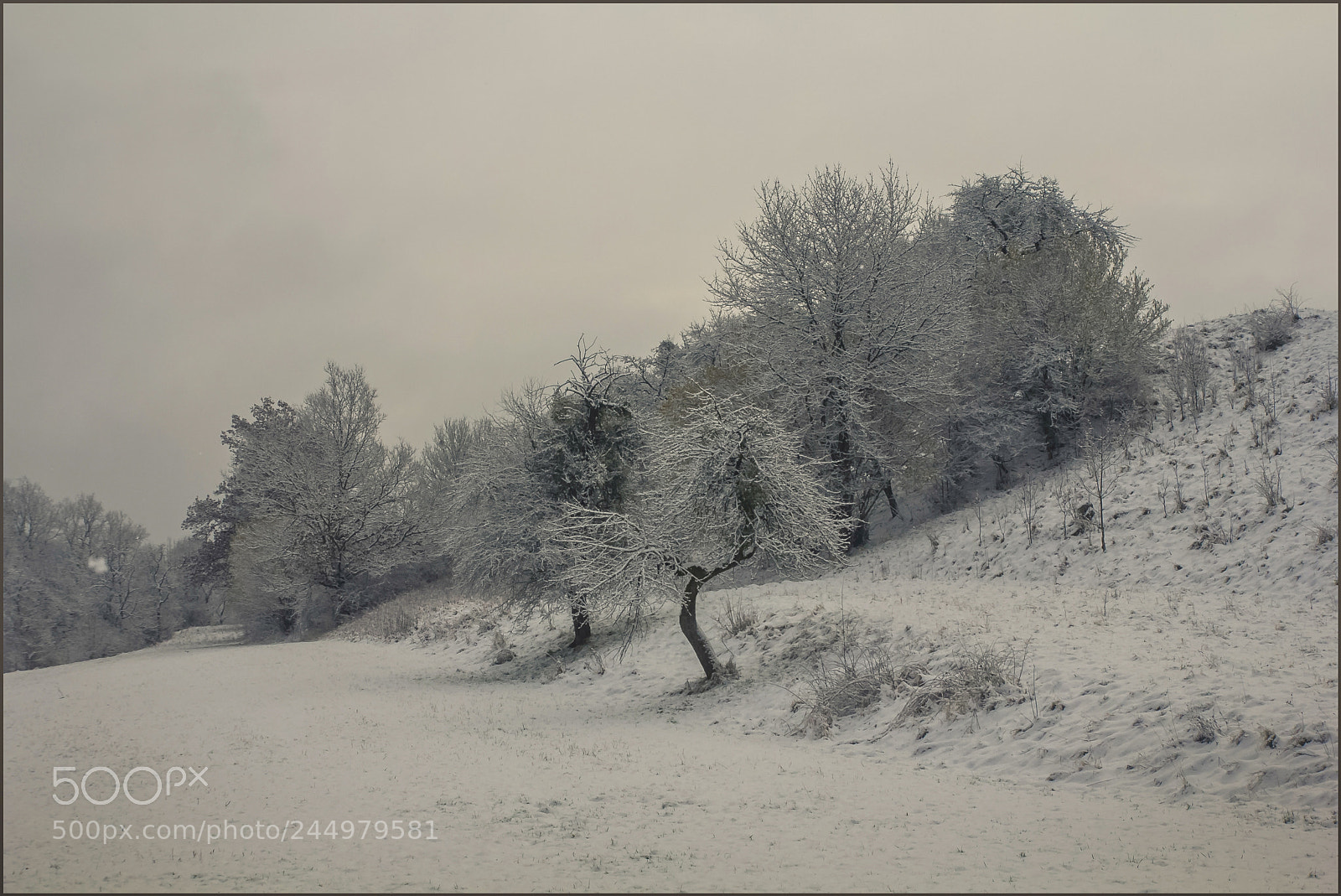 Canon EOS 60D sample photo. Return of winter photography