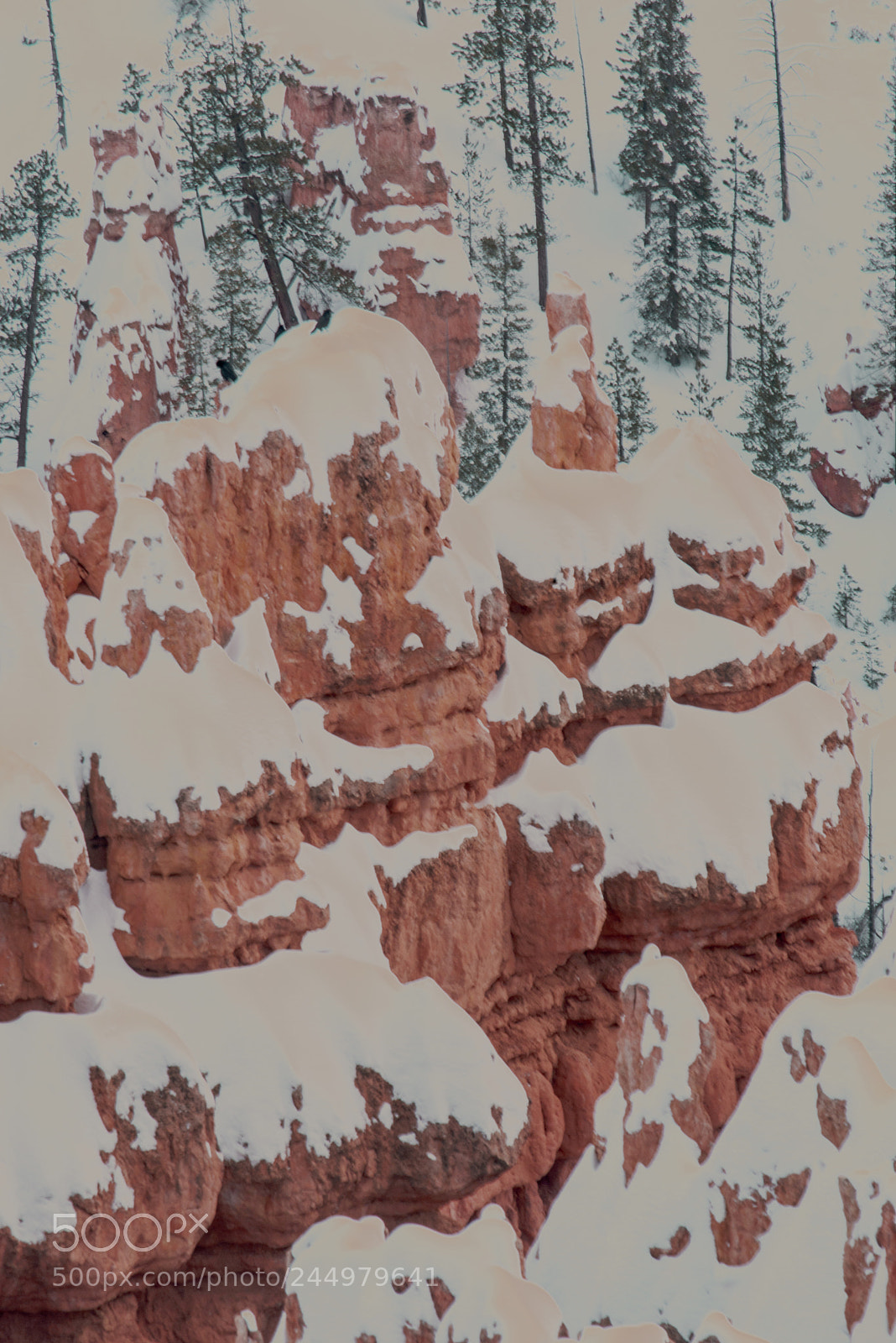 Nikon D800 sample photo. Bryce25.jpg photography
