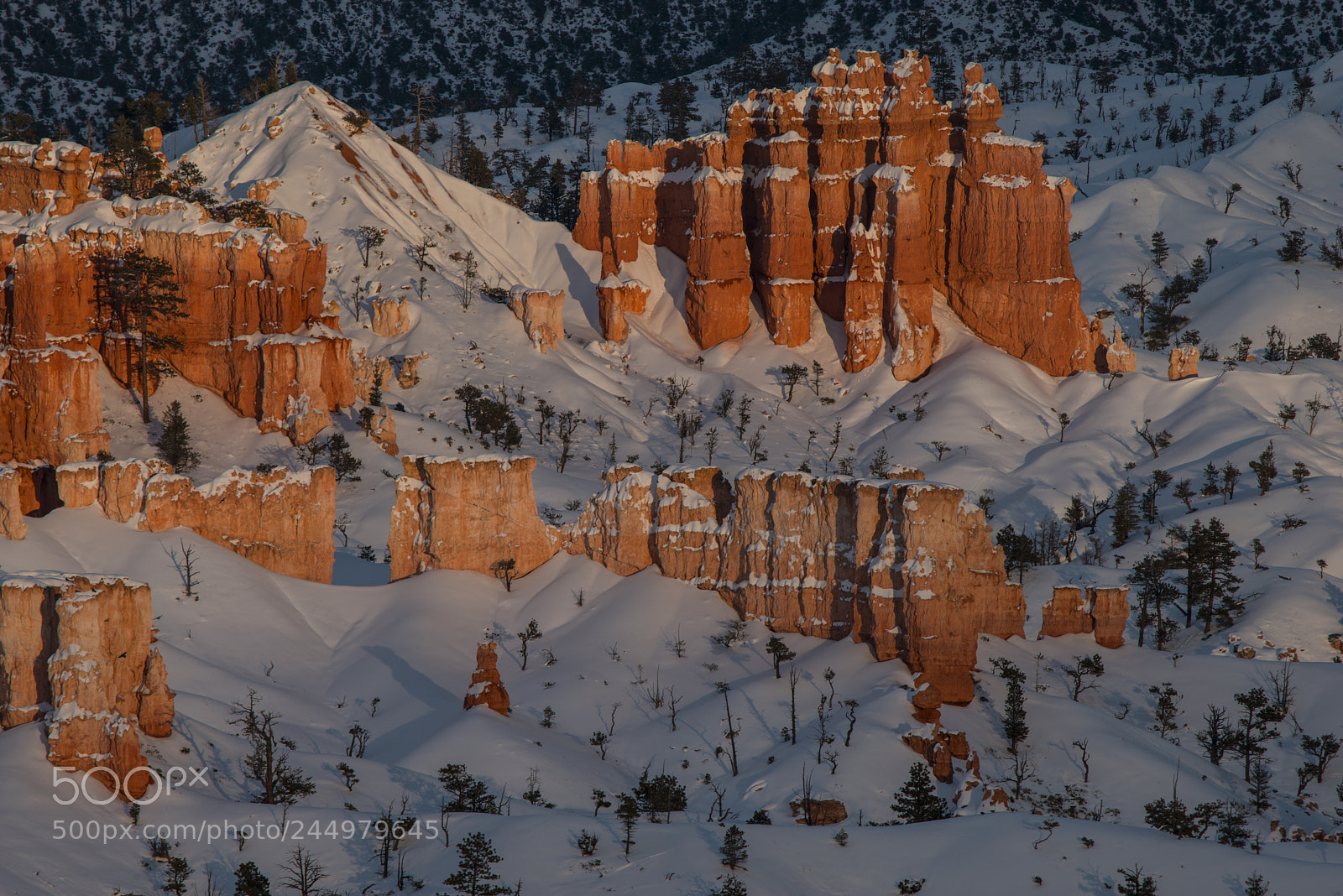 Nikon D800 sample photo. Bryce26.jpg photography