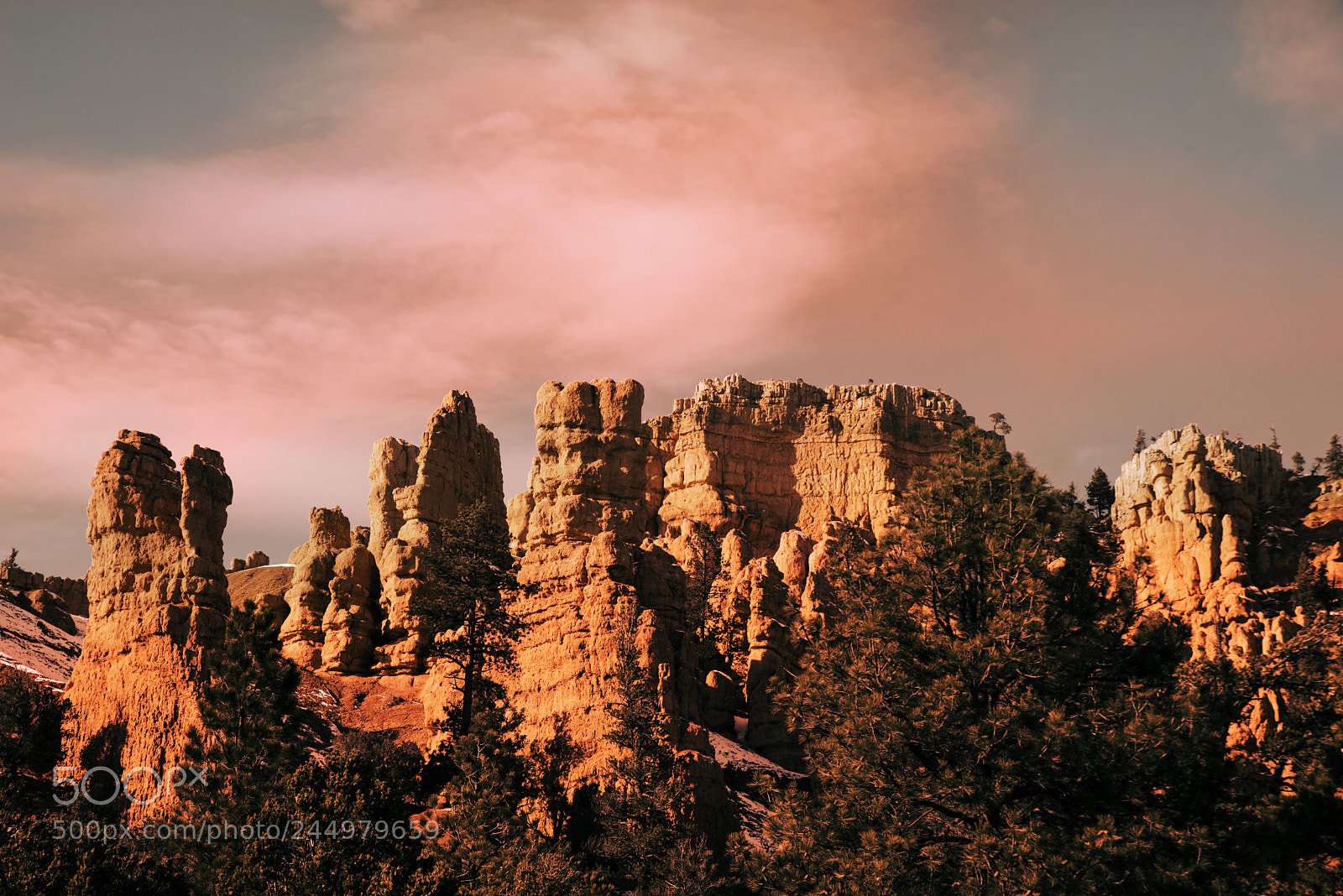 Nikon D800 sample photo. Bryce27.jpg photography