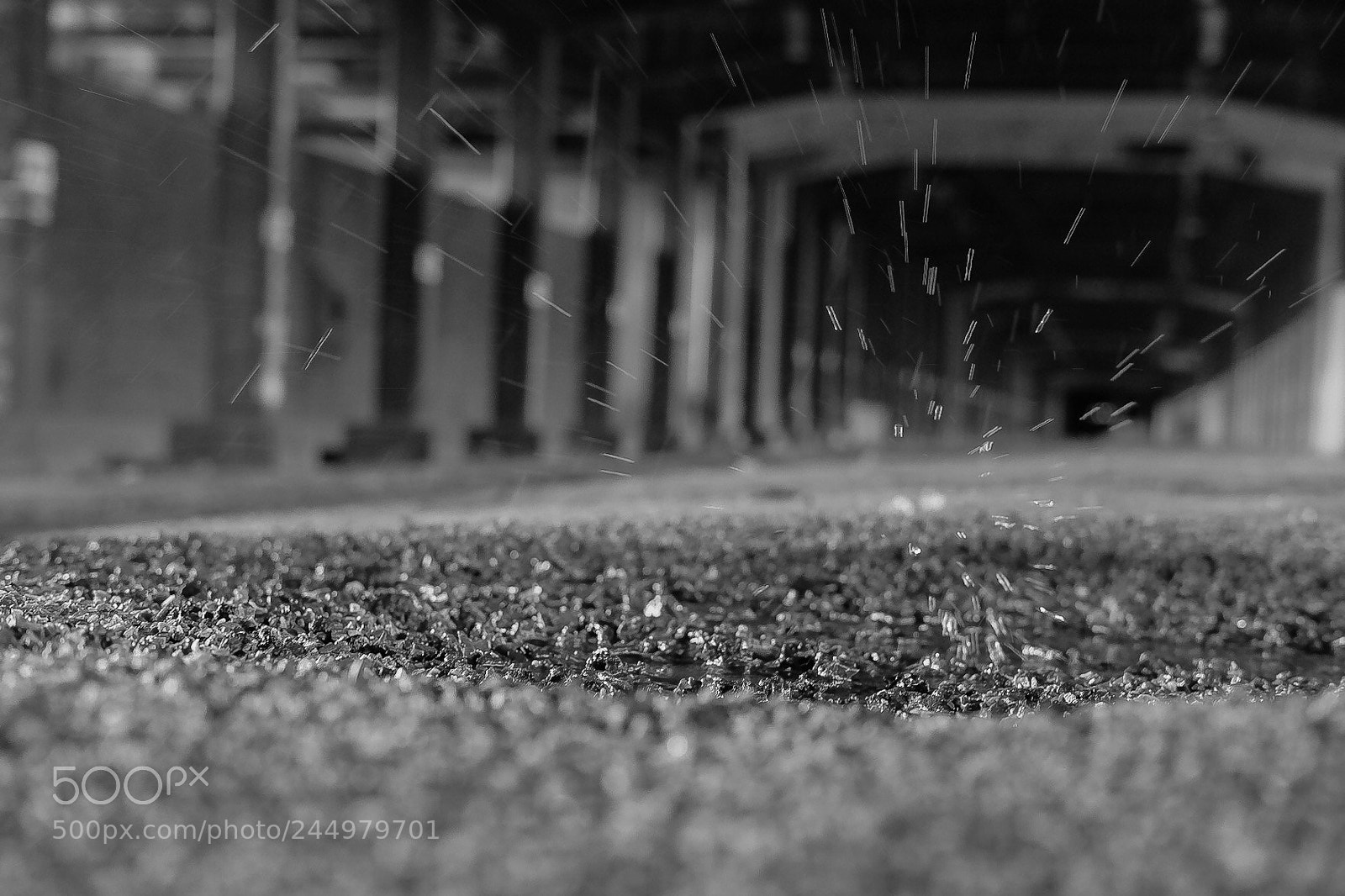 Fujifilm X-T1 sample photo. Untitled photography