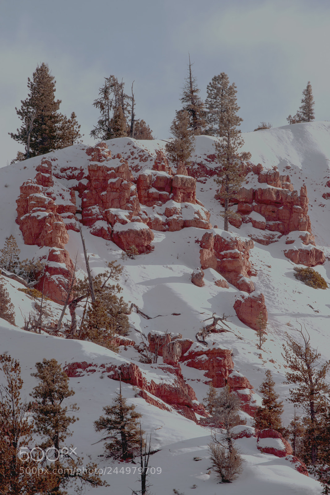Nikon D800 sample photo. Bryce28.jpg photography