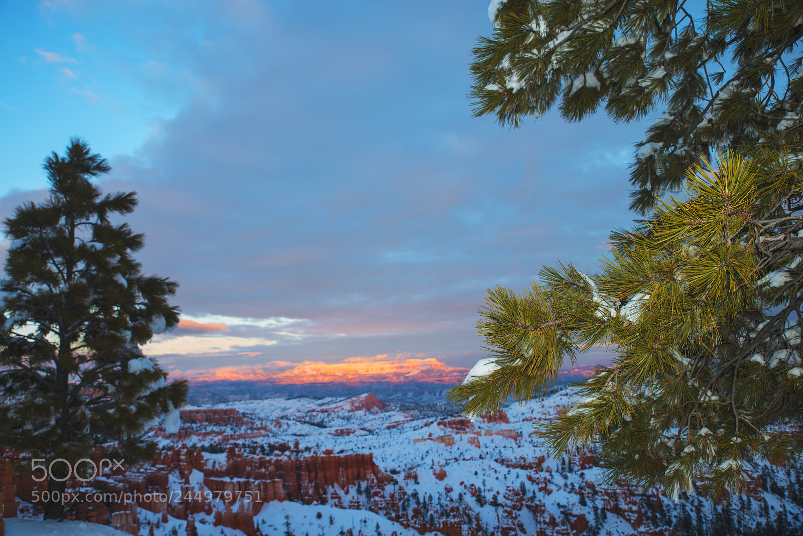 Nikon D800 sample photo. Bryce31.jpg photography