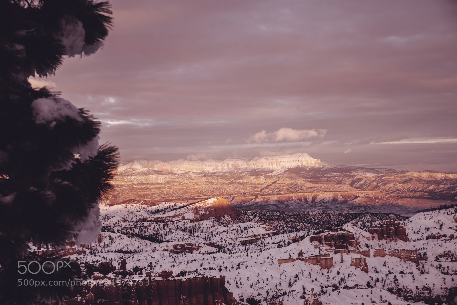 Nikon D800 sample photo. Bryce30.jpg photography