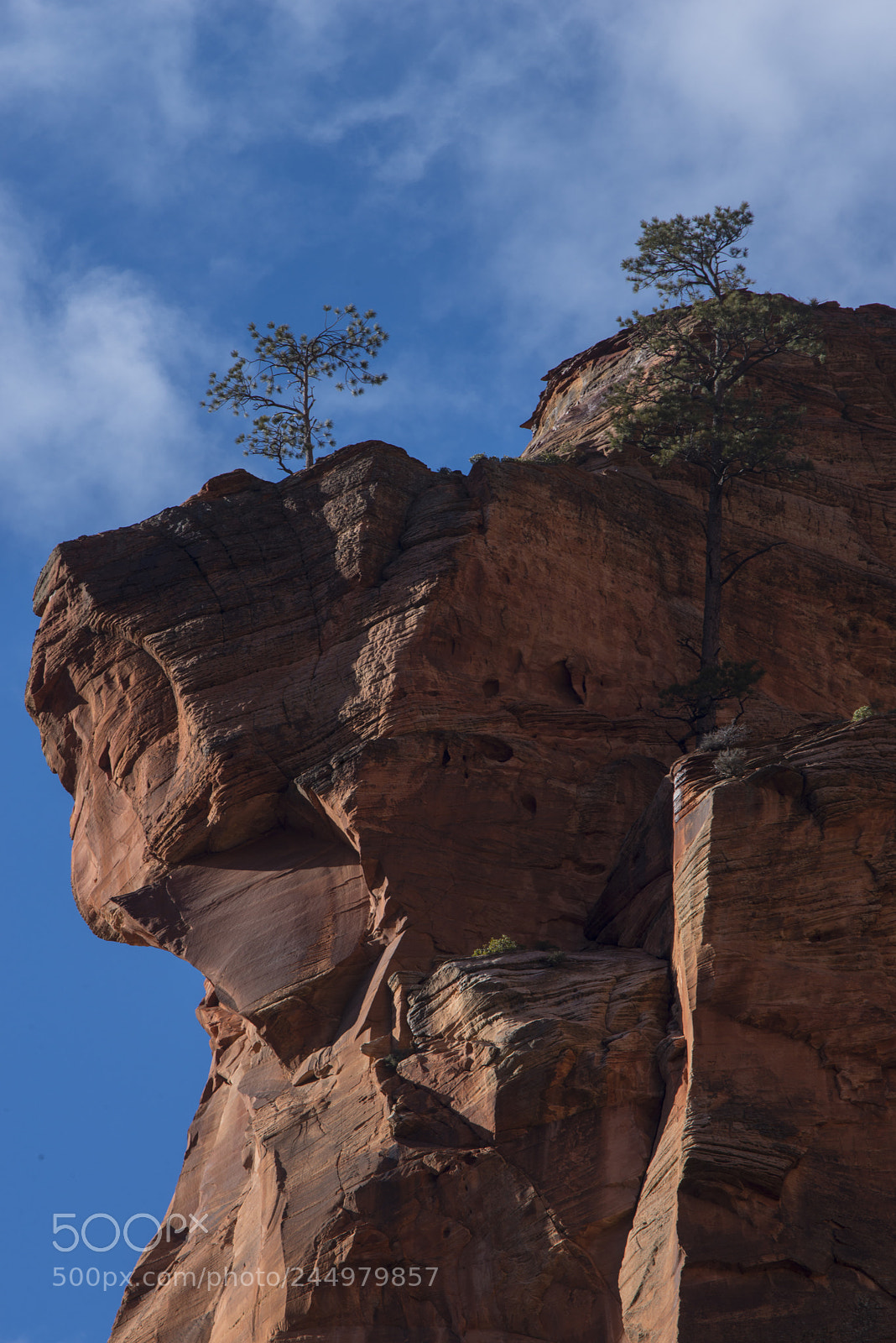 Nikon D800 sample photo. Cliff_dwellers.jpg photography