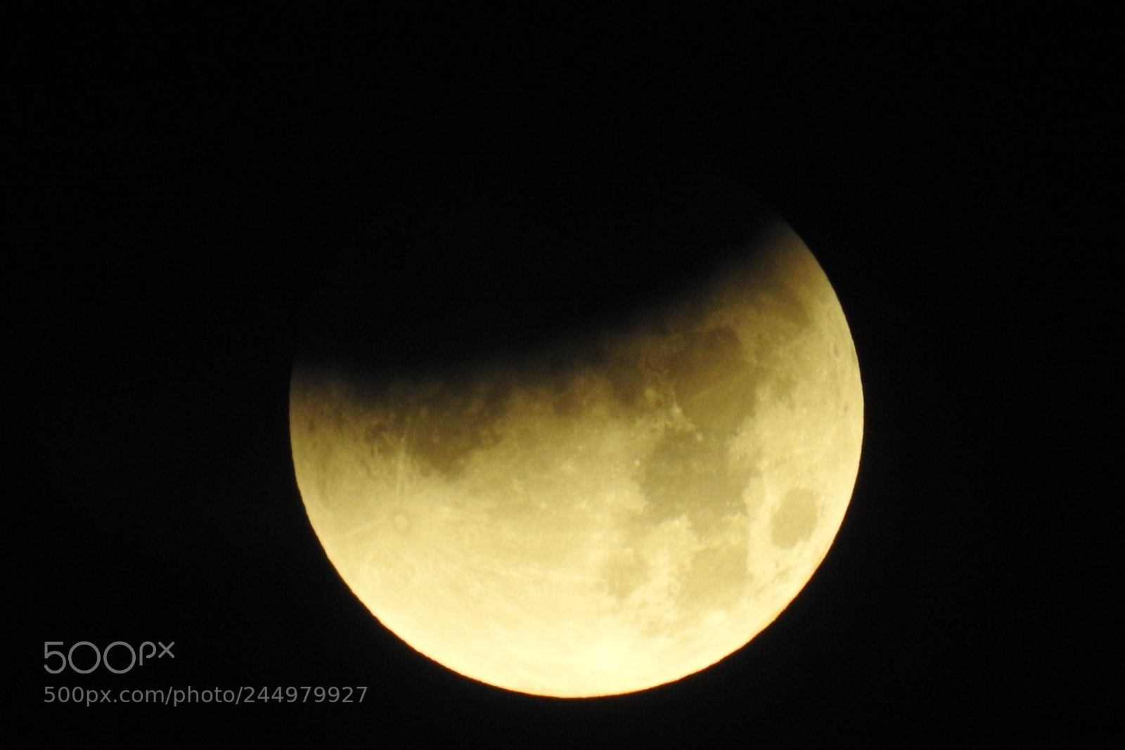 Nikon Coolpix P900 sample photo. Super blue blood moon (1/31/18) photography