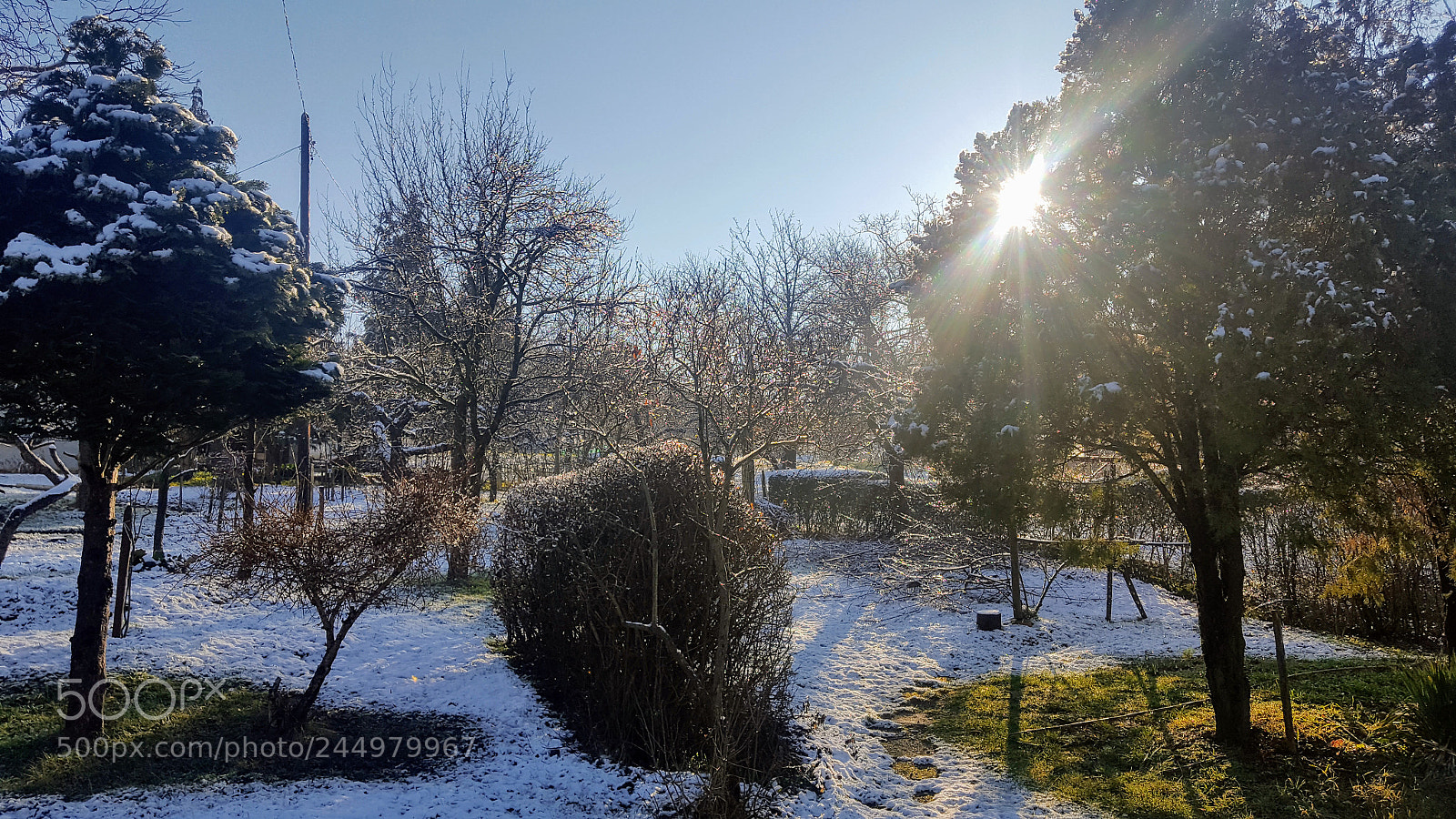 Samsung GALAXY S6 edge sample photo. Untitled photography