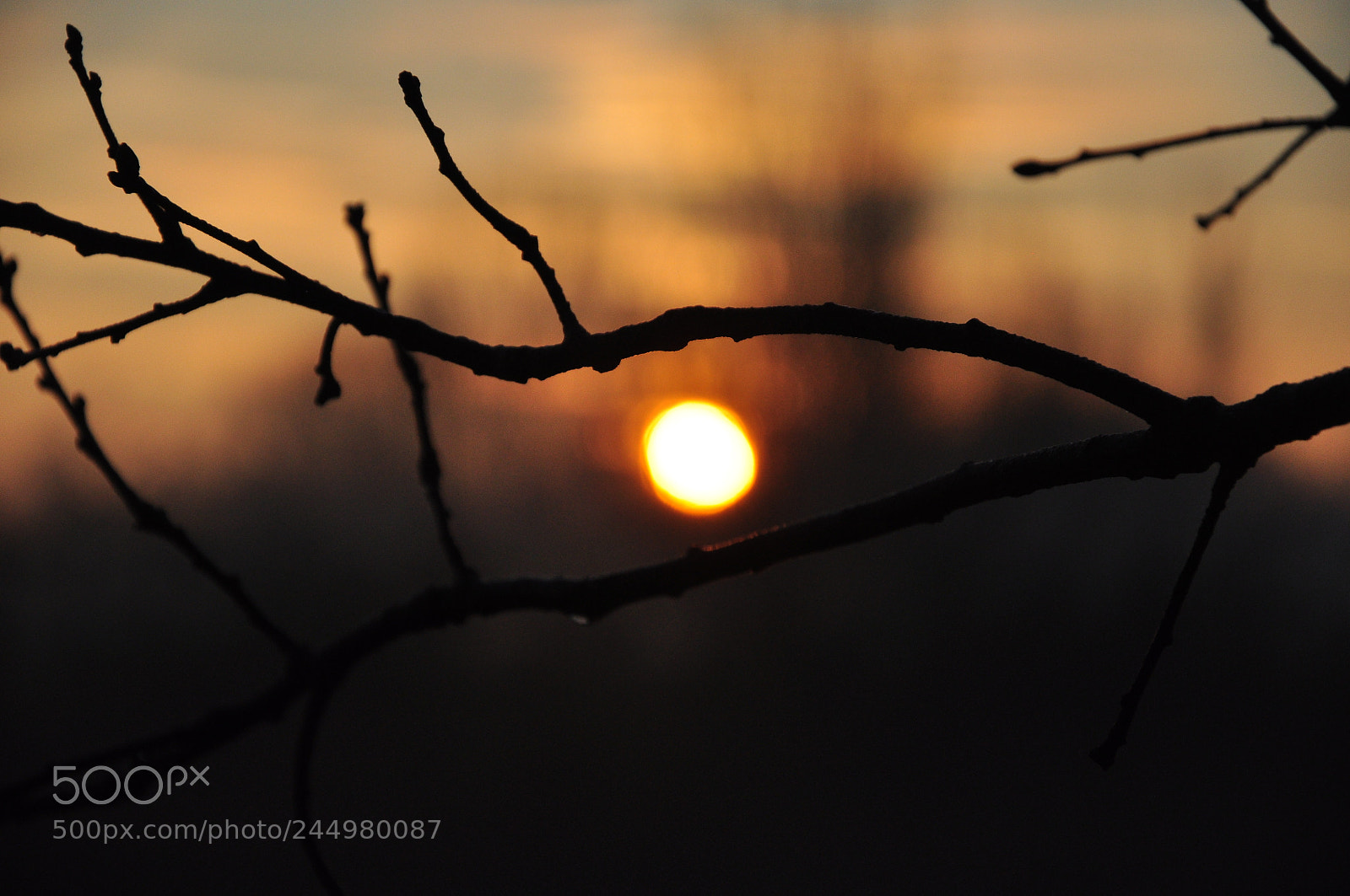 Nikon D90 sample photo. The eye photography