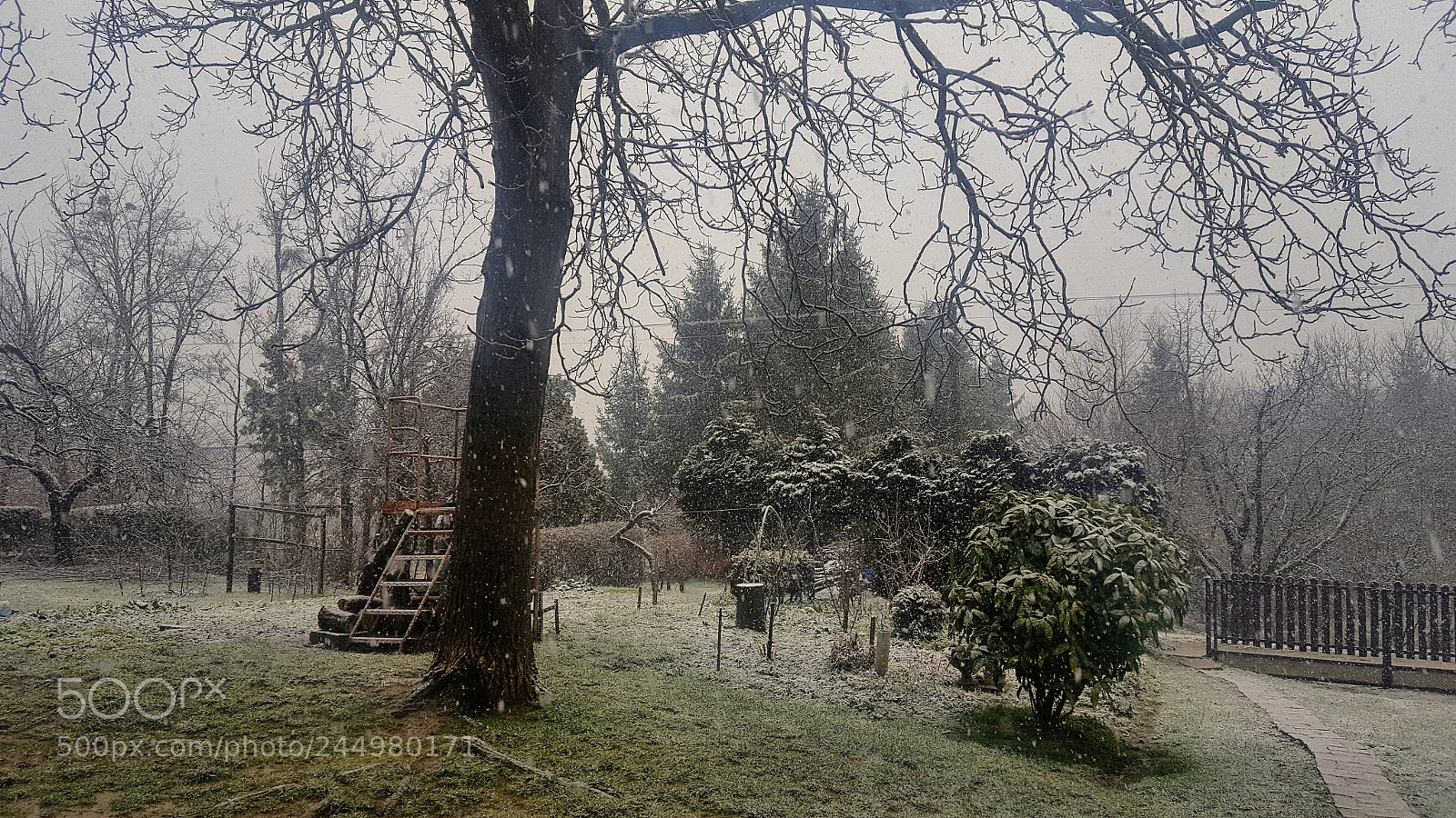 Samsung GALAXY S6 edge sample photo. Untitled photography