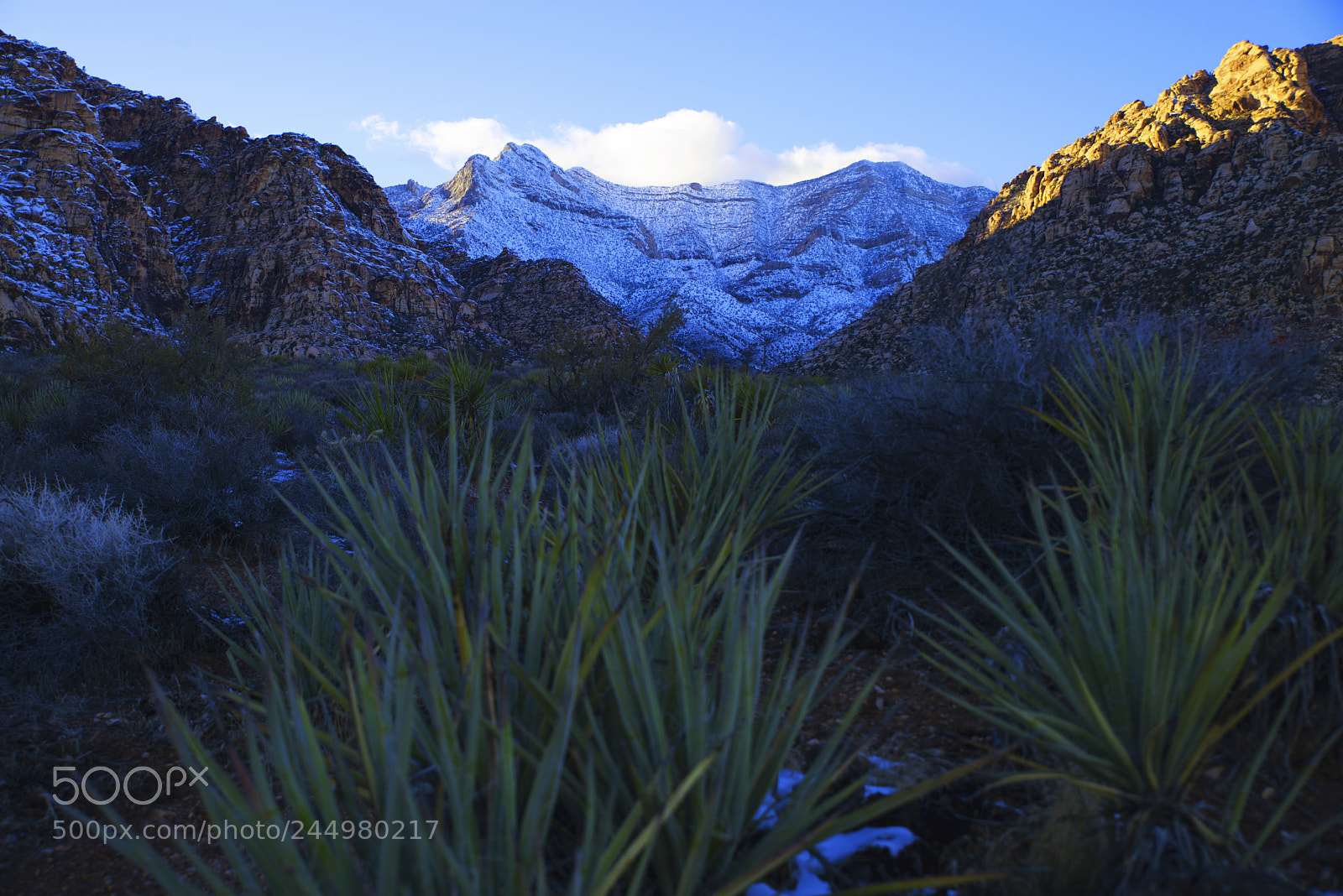Nikon D800 sample photo. Mountainsrrsnow photography