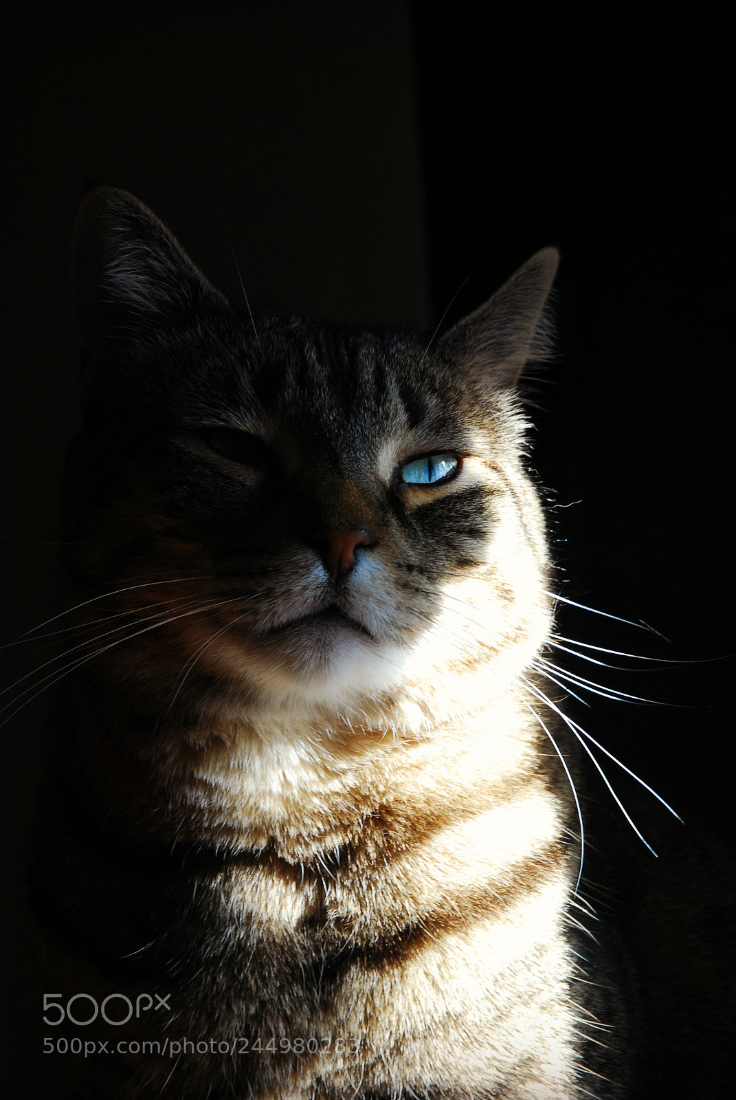 Nikon D80 sample photo. After glow photography