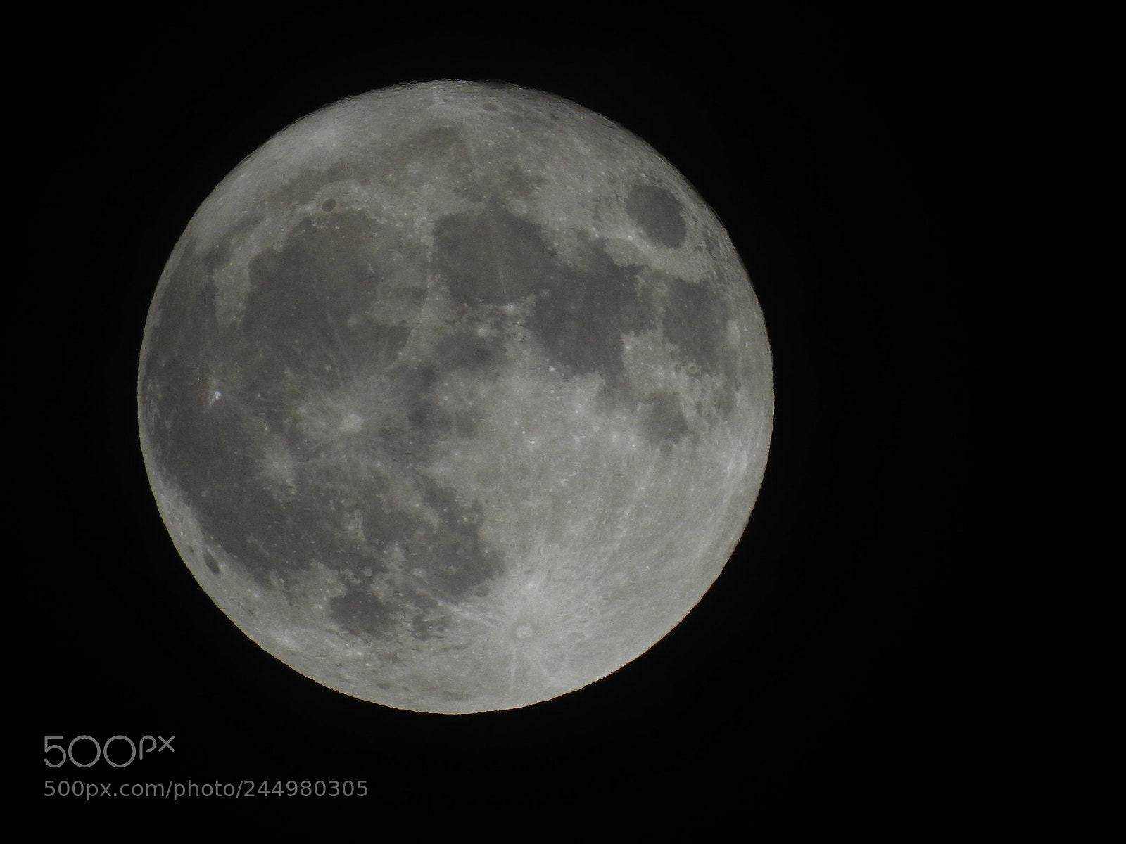 Nikon Coolpix P900 sample photo. Full moon photography