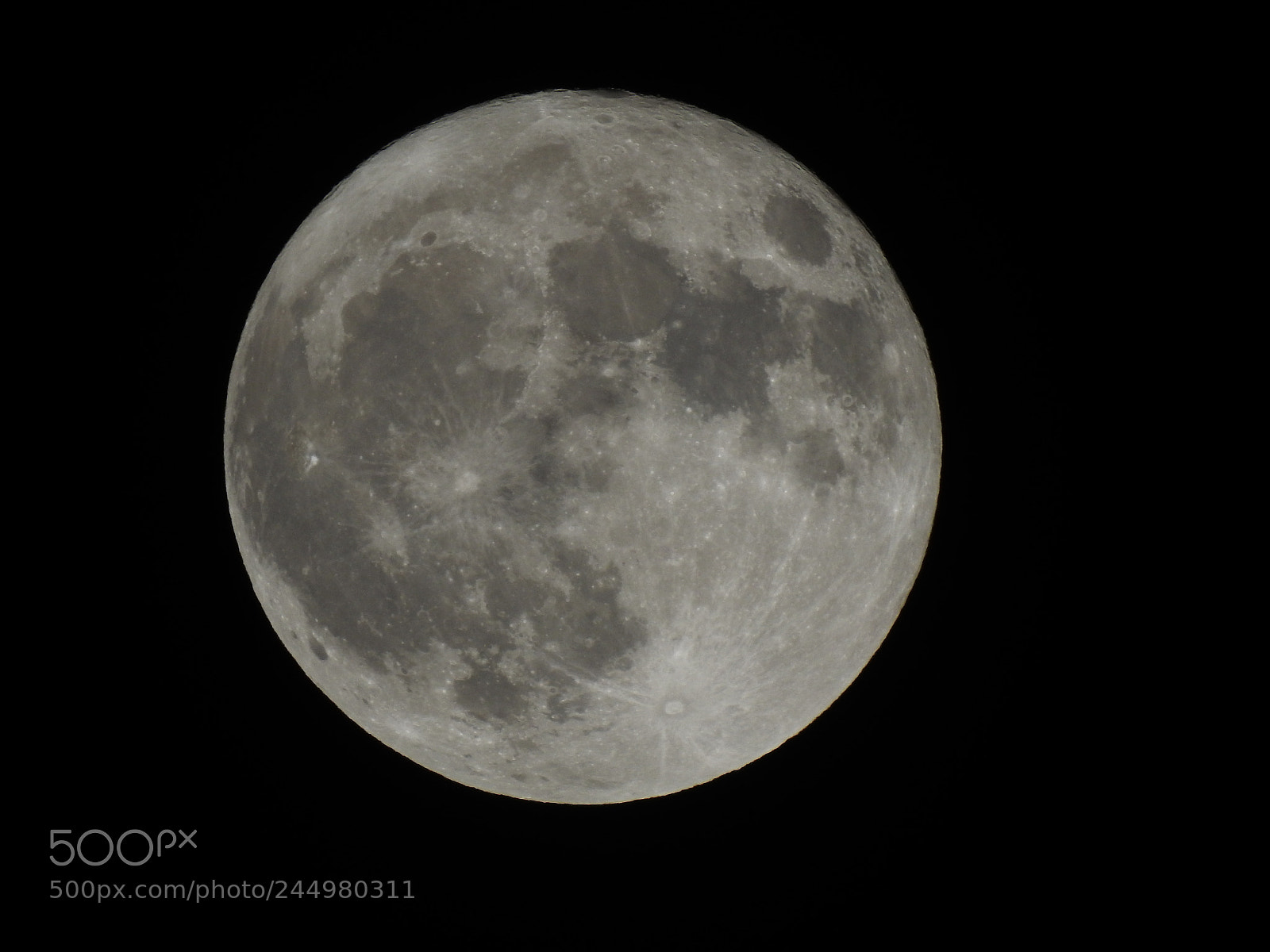 Nikon Coolpix P900 sample photo. Full moon photography