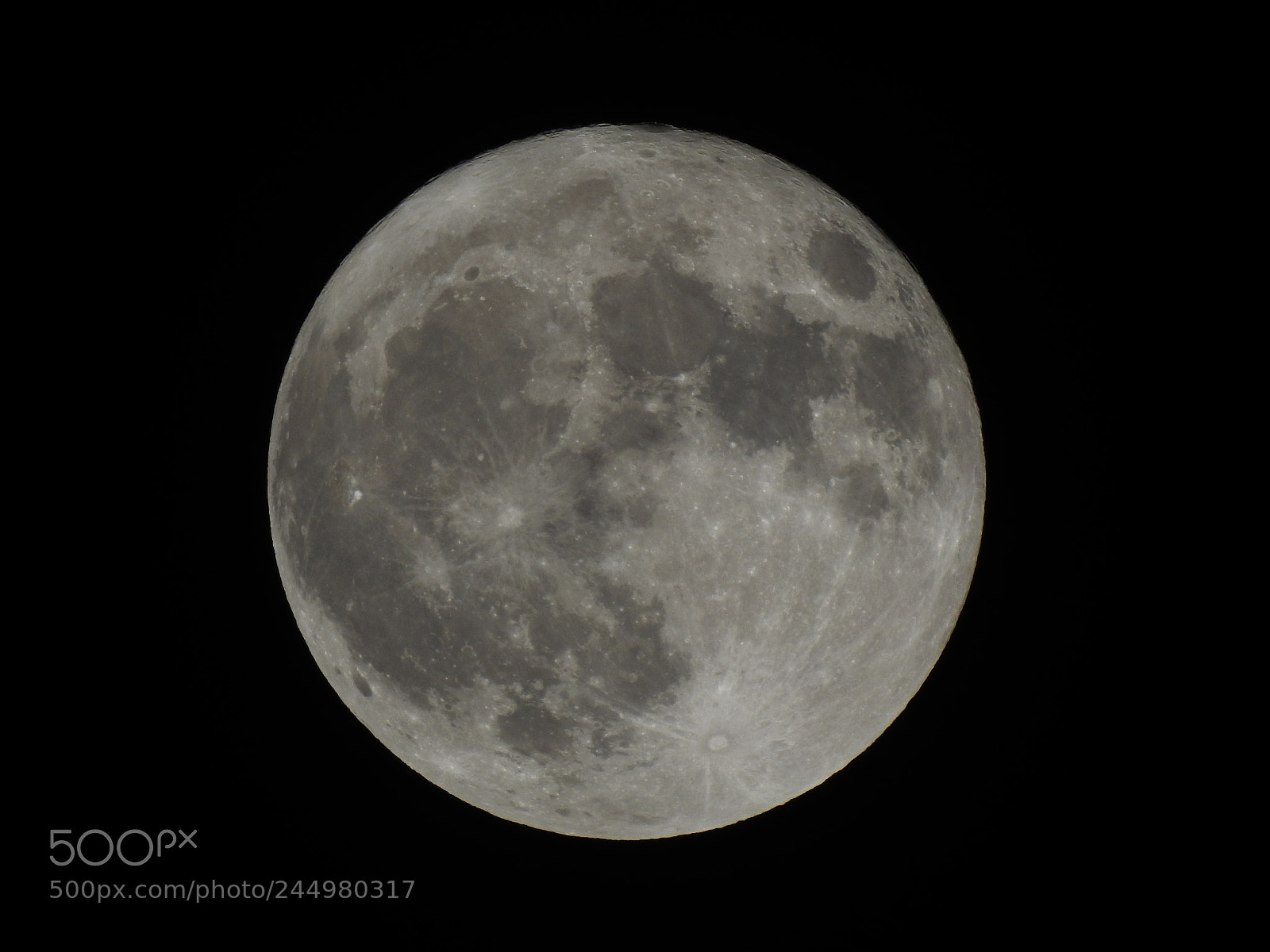 Nikon Coolpix P900 sample photo. Full moon photography