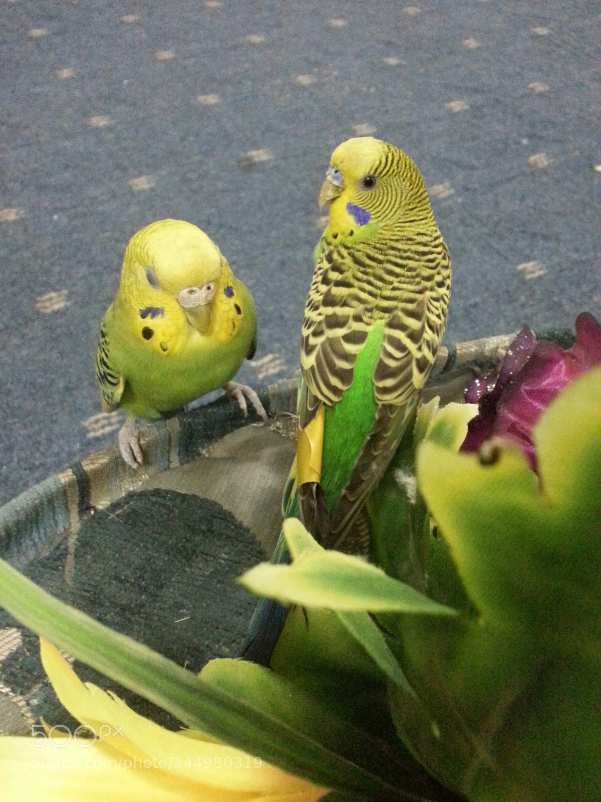 Samsung Galaxy Note2 sample photo. Untitled photography
