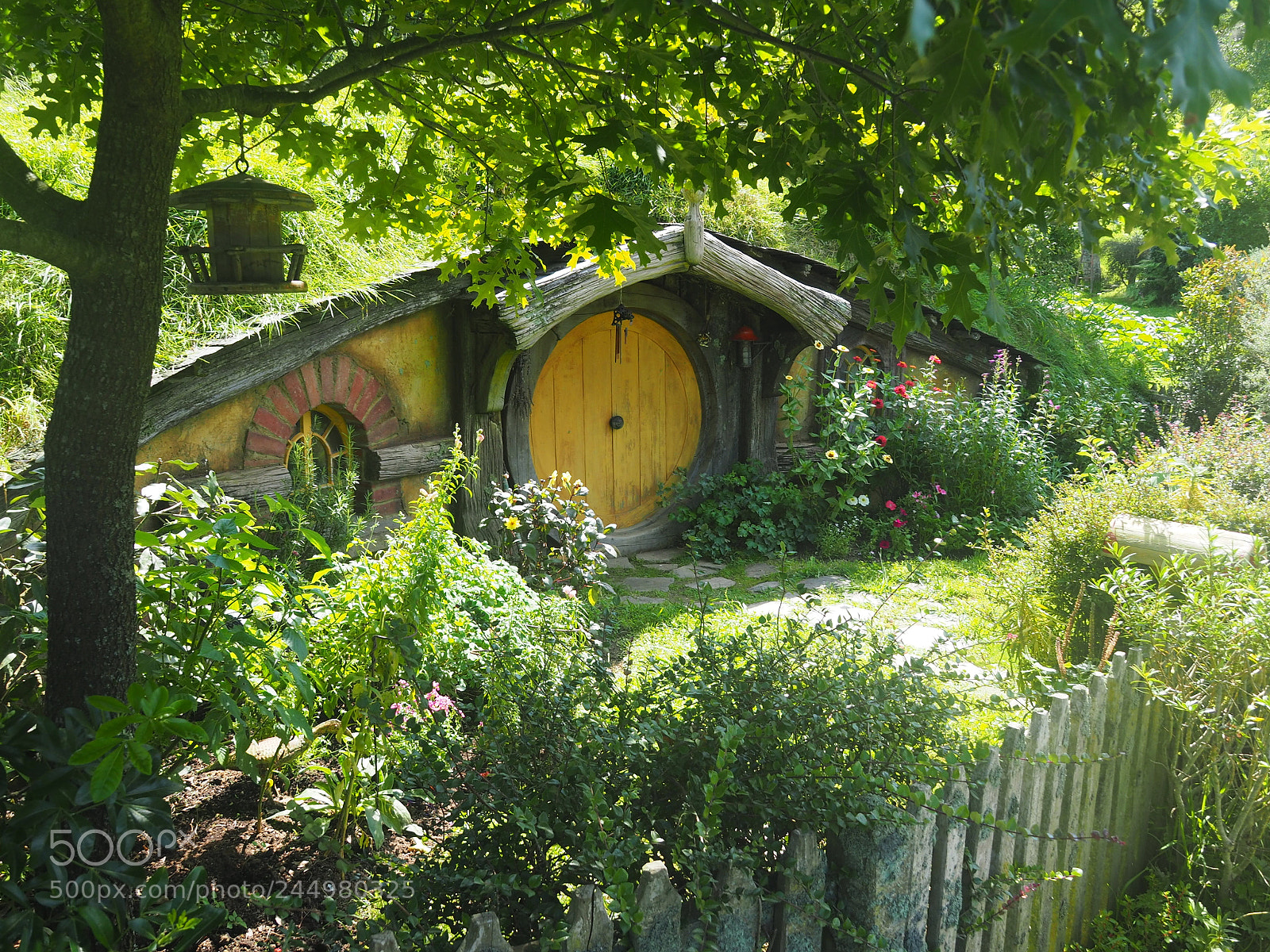 Olympus OM-D E-M10 II sample photo. Hobbiton, new zealand photography