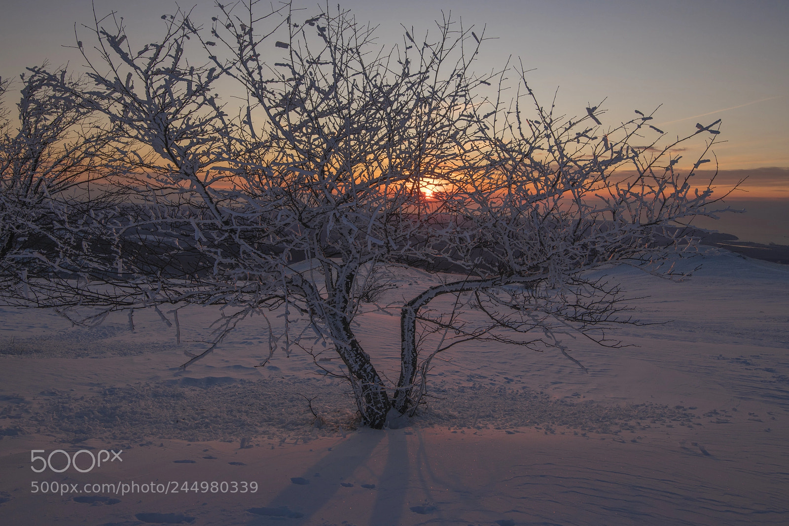 Nikon D850 sample photo. Sunset from mt. slavnik photography