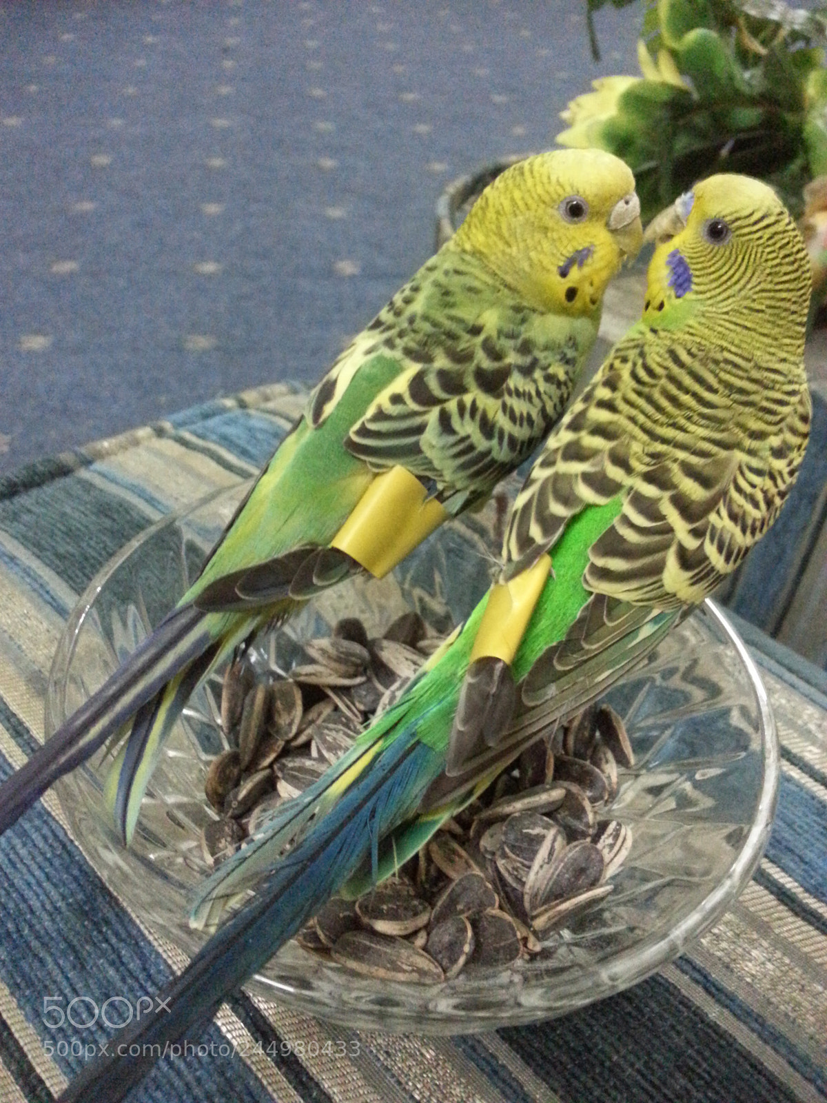 Samsung Galaxy Note2 sample photo. Untitled photography
