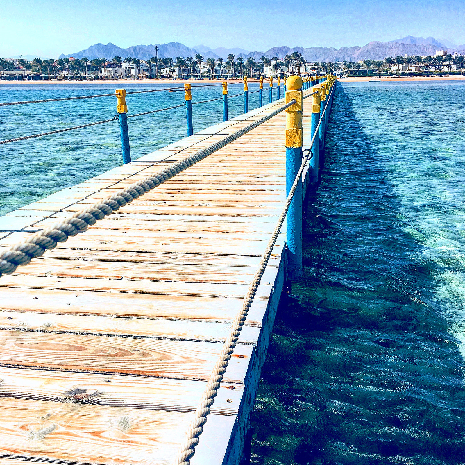 Apple iPhone 6s Plus sample photo. Untitled photography