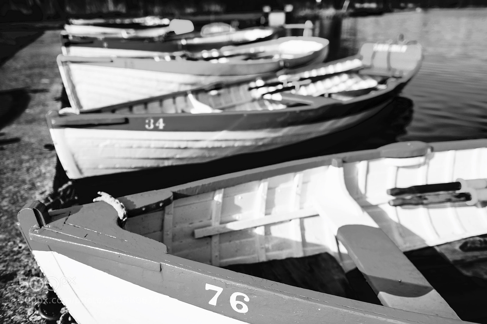 Nikon D700 sample photo. 76 photography