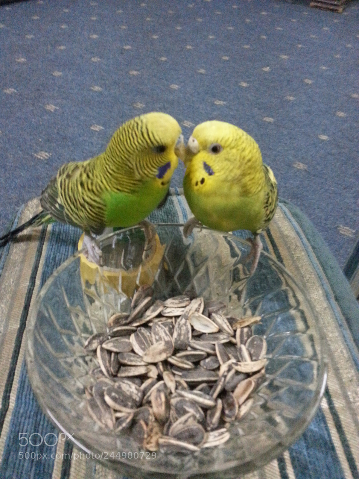Samsung Galaxy Note2 sample photo. Untitled photography