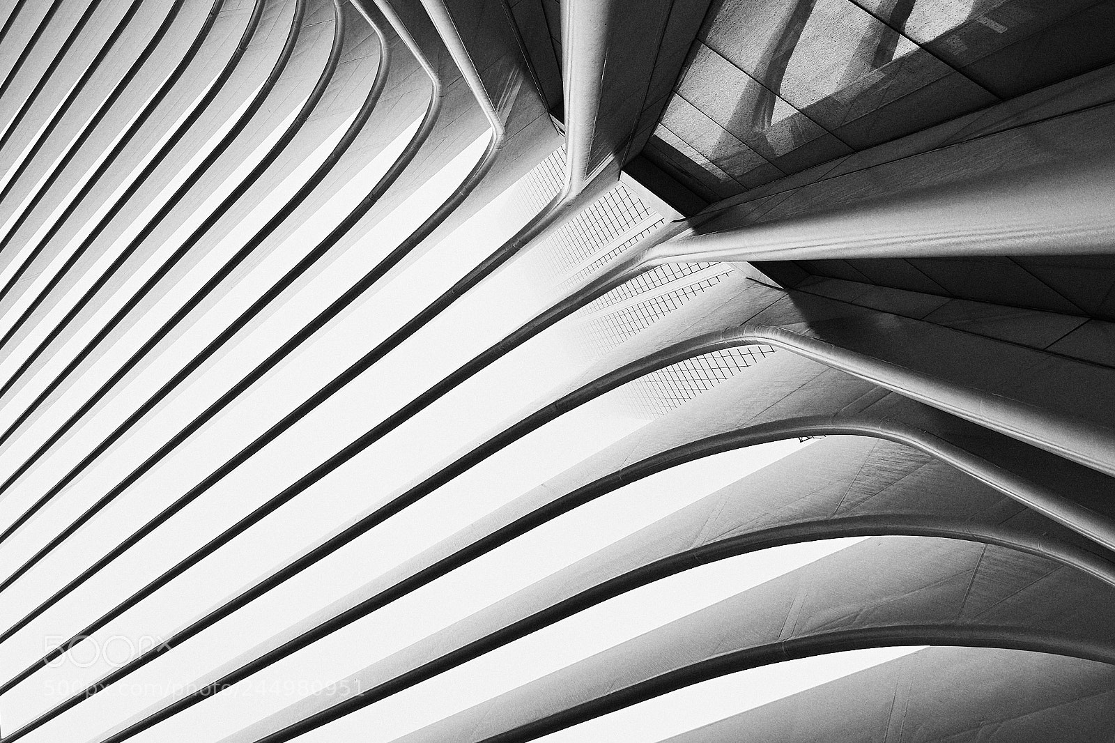 Sony a7 sample photo. Striped photography